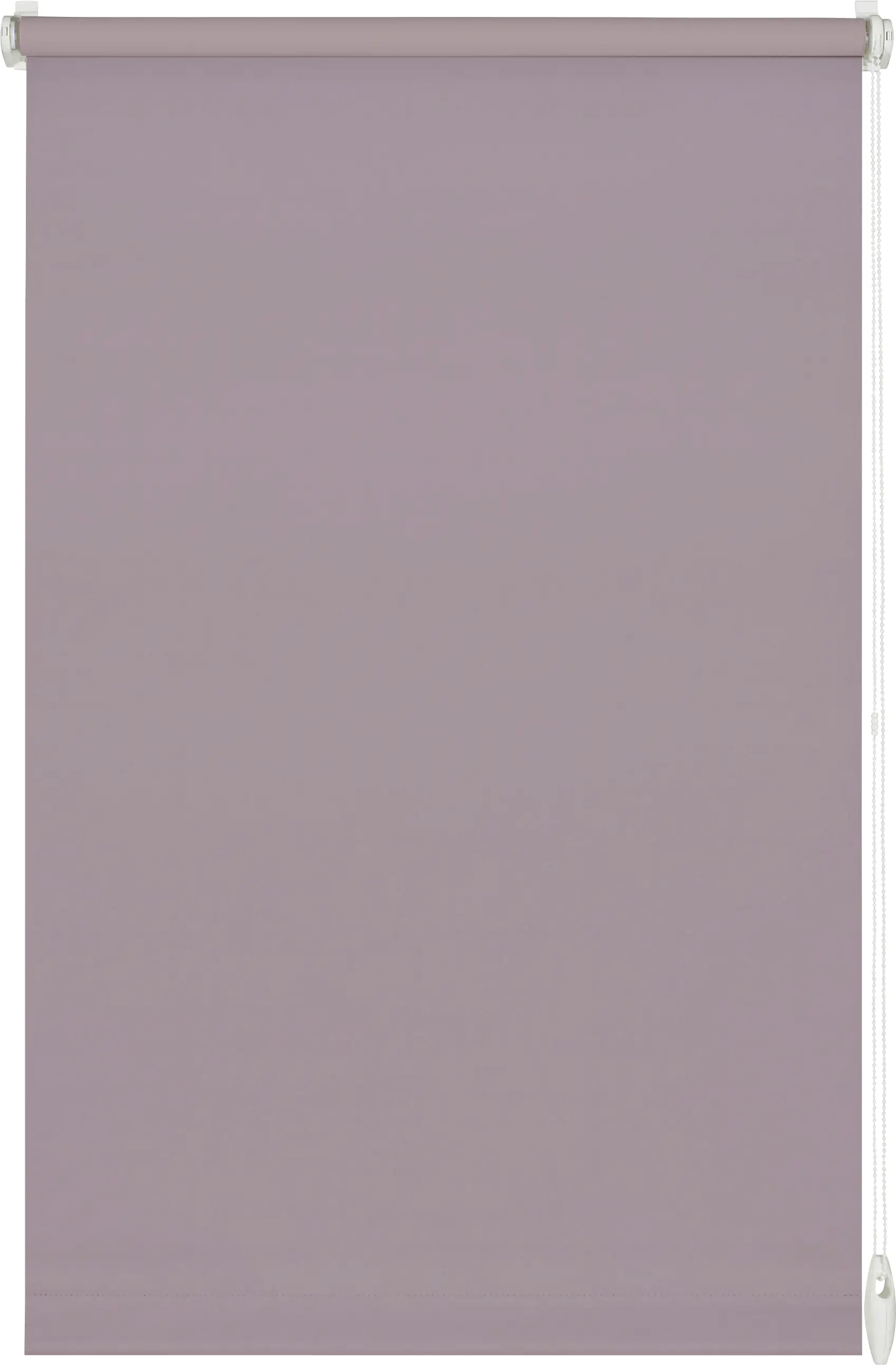 Gardinia EasyFix Rollo perlrosa 100 x 150 cm