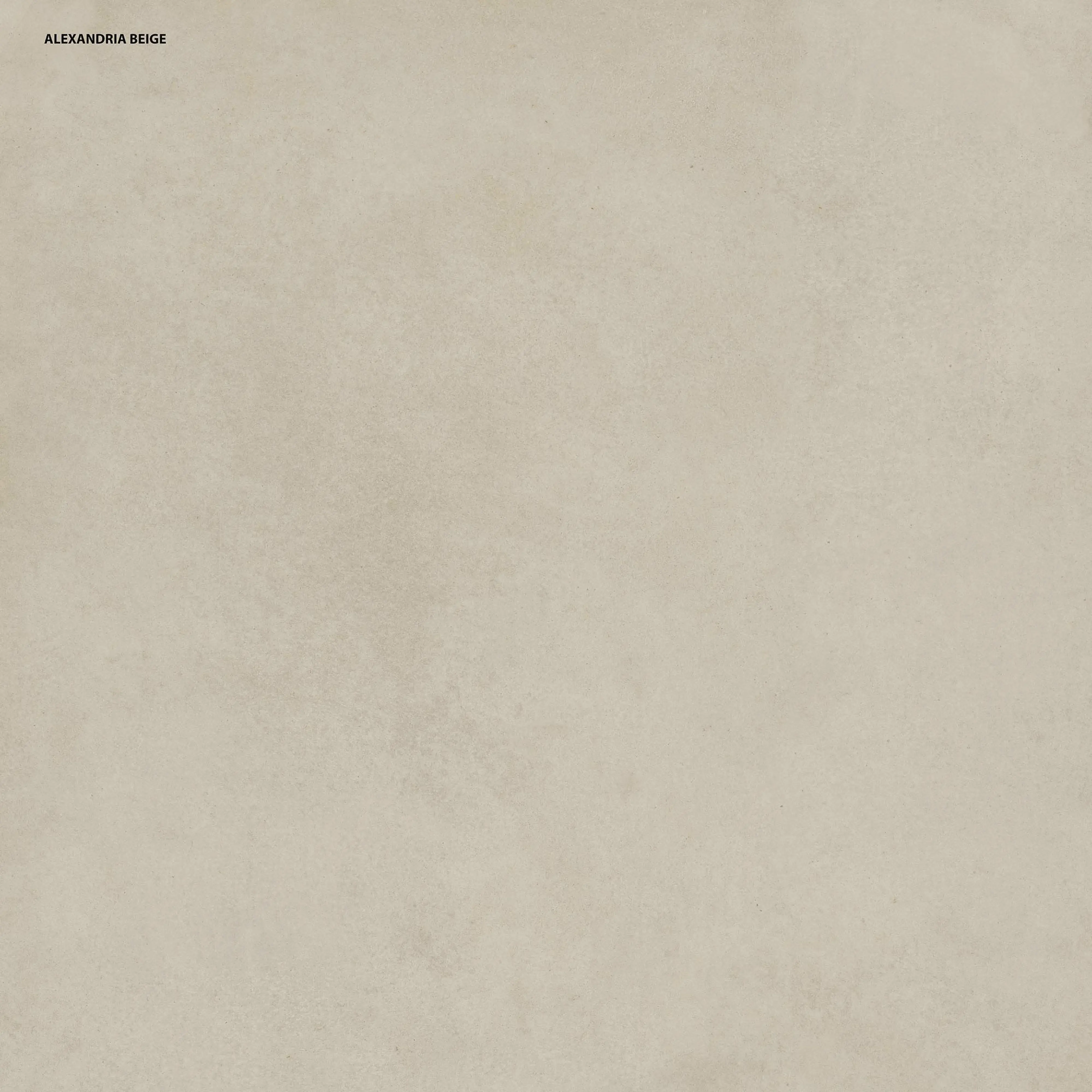 Bodenfliese Feinsteinzeug Alexandria 2.0 60 x 60 cm beige