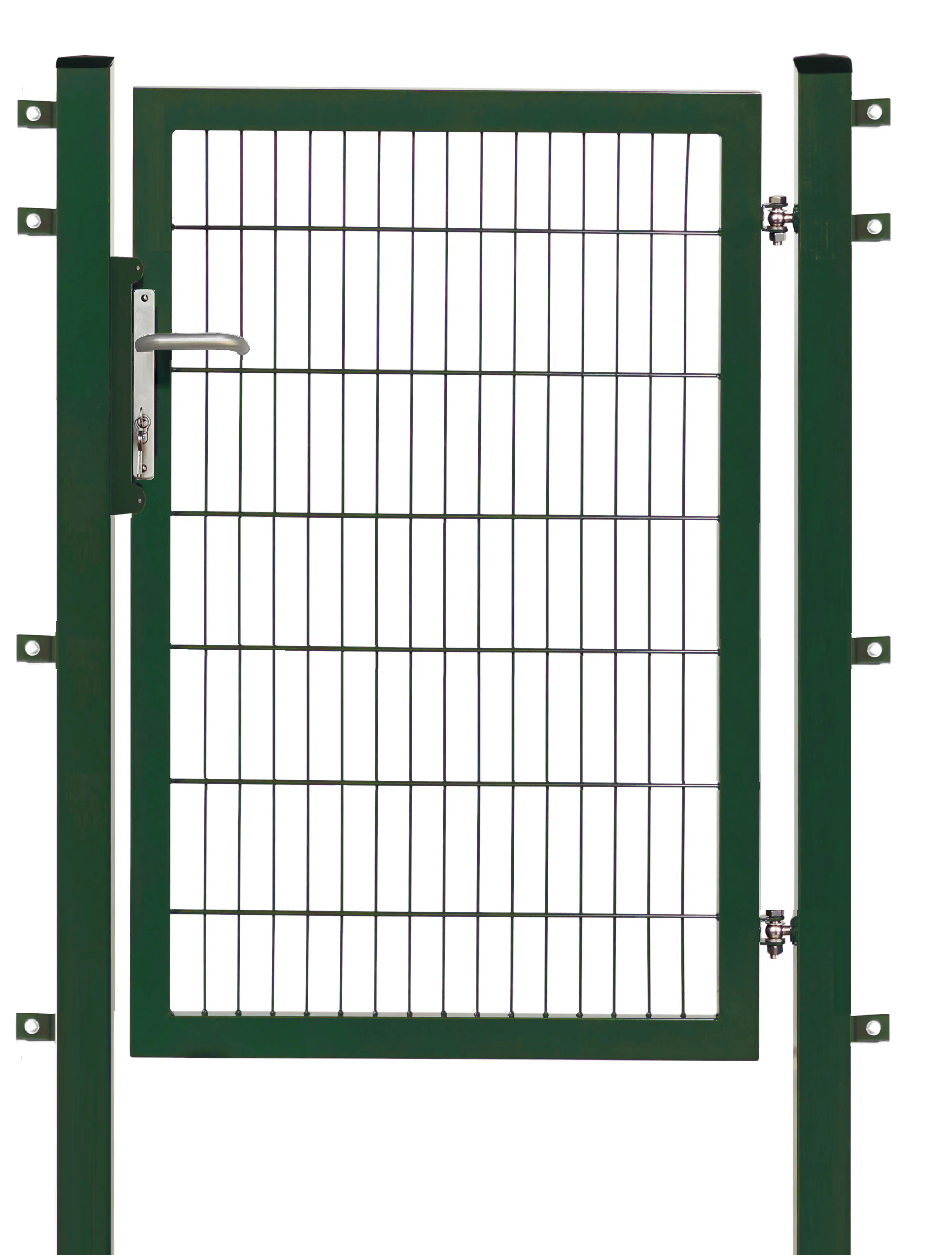 Floraworld Gartentor Premium 100 x 140 cm moosgrün