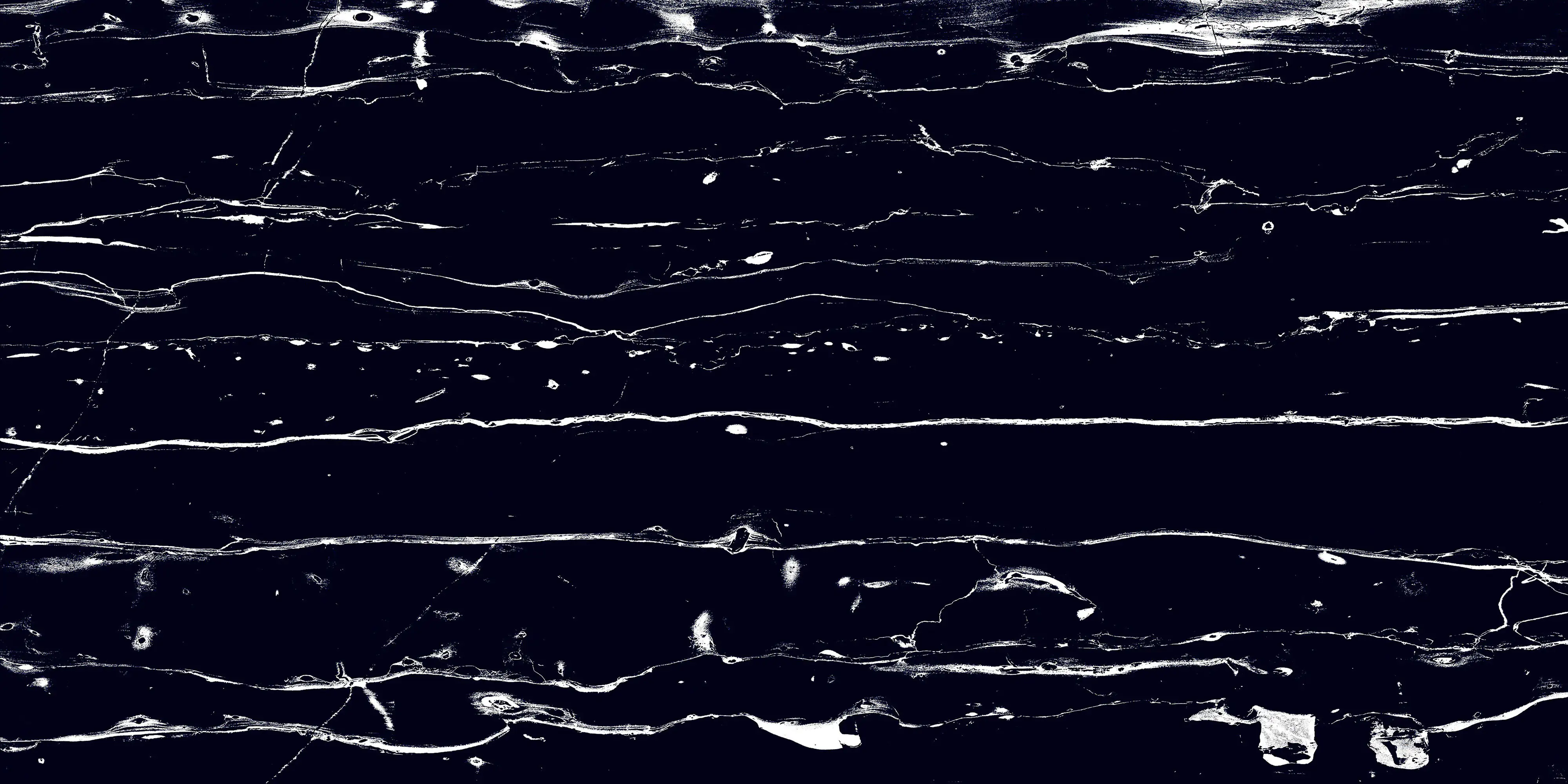 Bodenfliese Feinsteinzeug Prothro Black 60 x 120 cm schwarz
