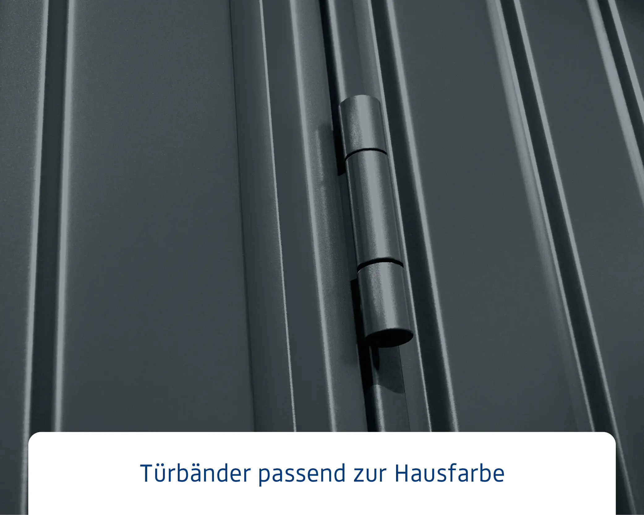 EcoStar Gerätehaus Trend-P Typ 3 anthrazitgrau 312,7 x 283,4 x 232,3 cm