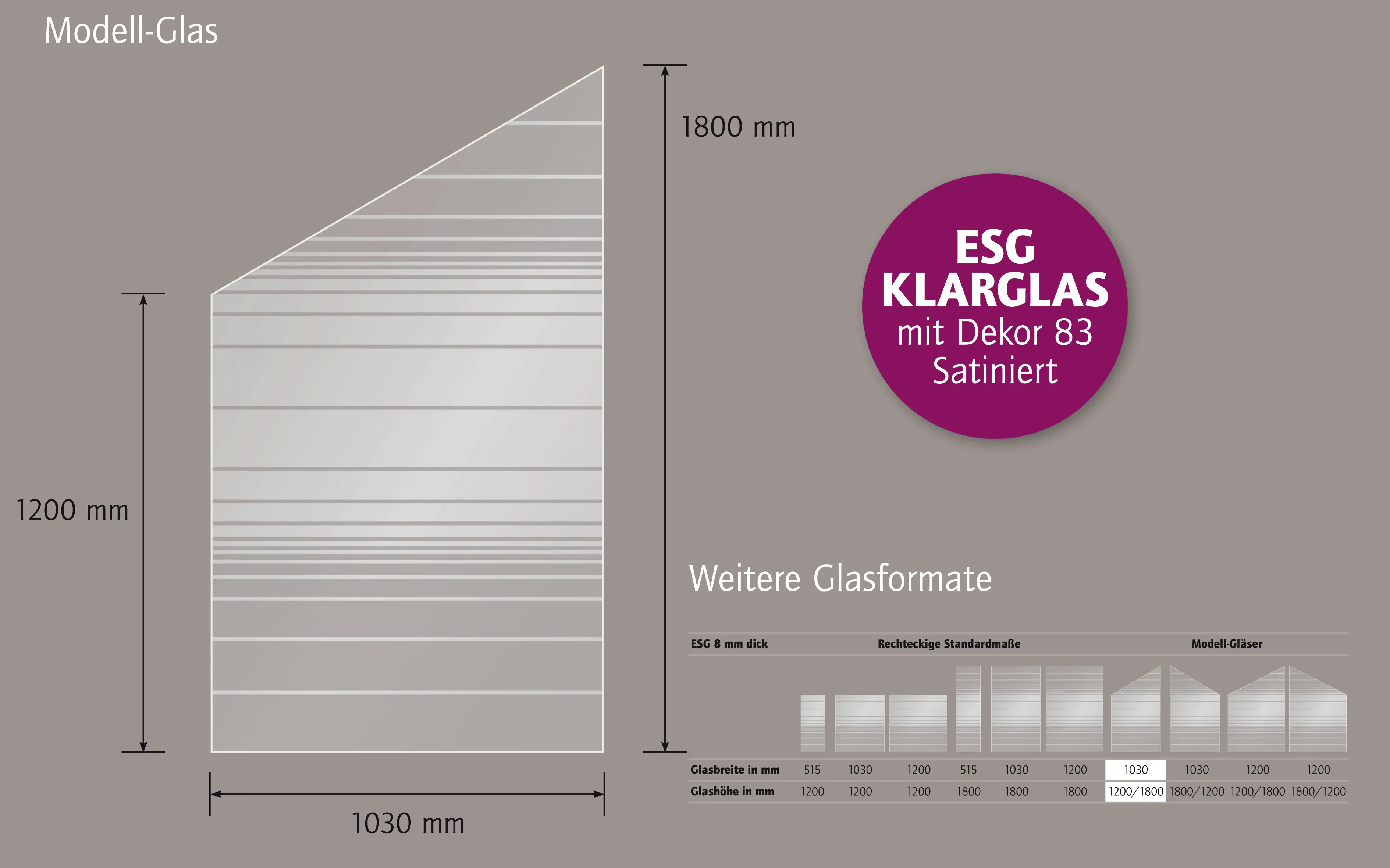 Ambiente Glaszaun Dekor 83 schräg 103 x 120/180 cm gehärtetes 8 mm Glas