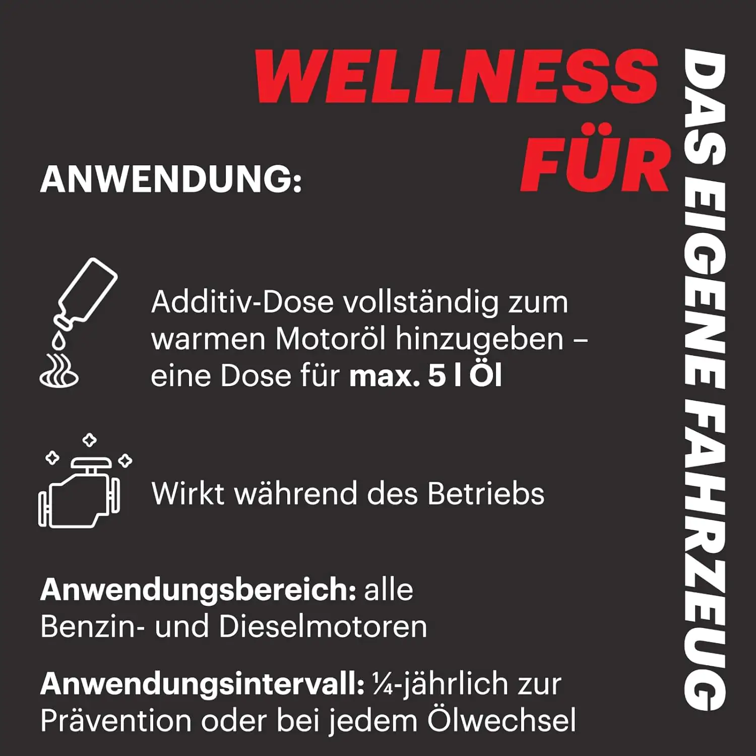 Motul Hydrostössel Schutz 300ml