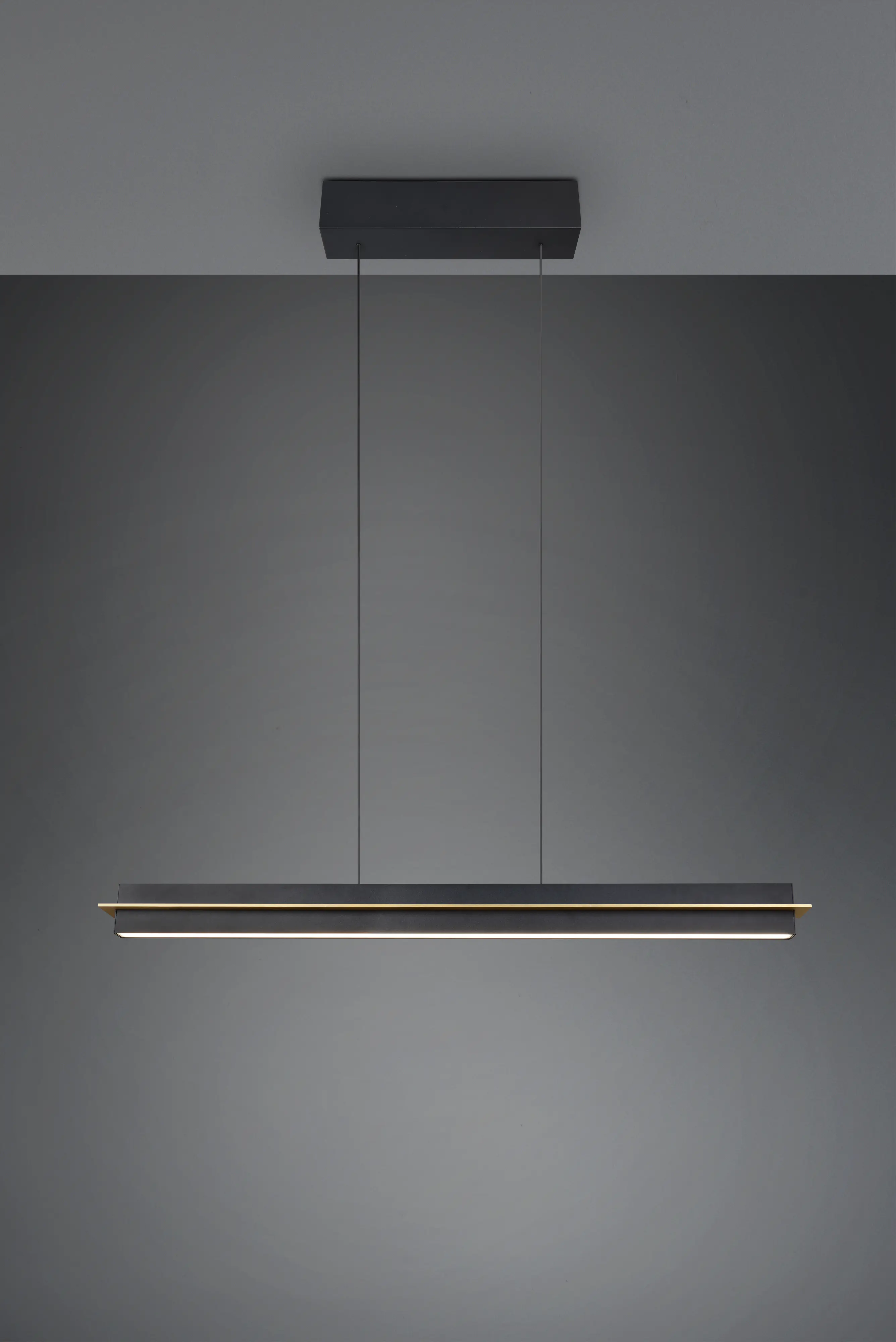Trio Pendelleuchte Emerson 22W schwarz warmweiß-kaltweiß