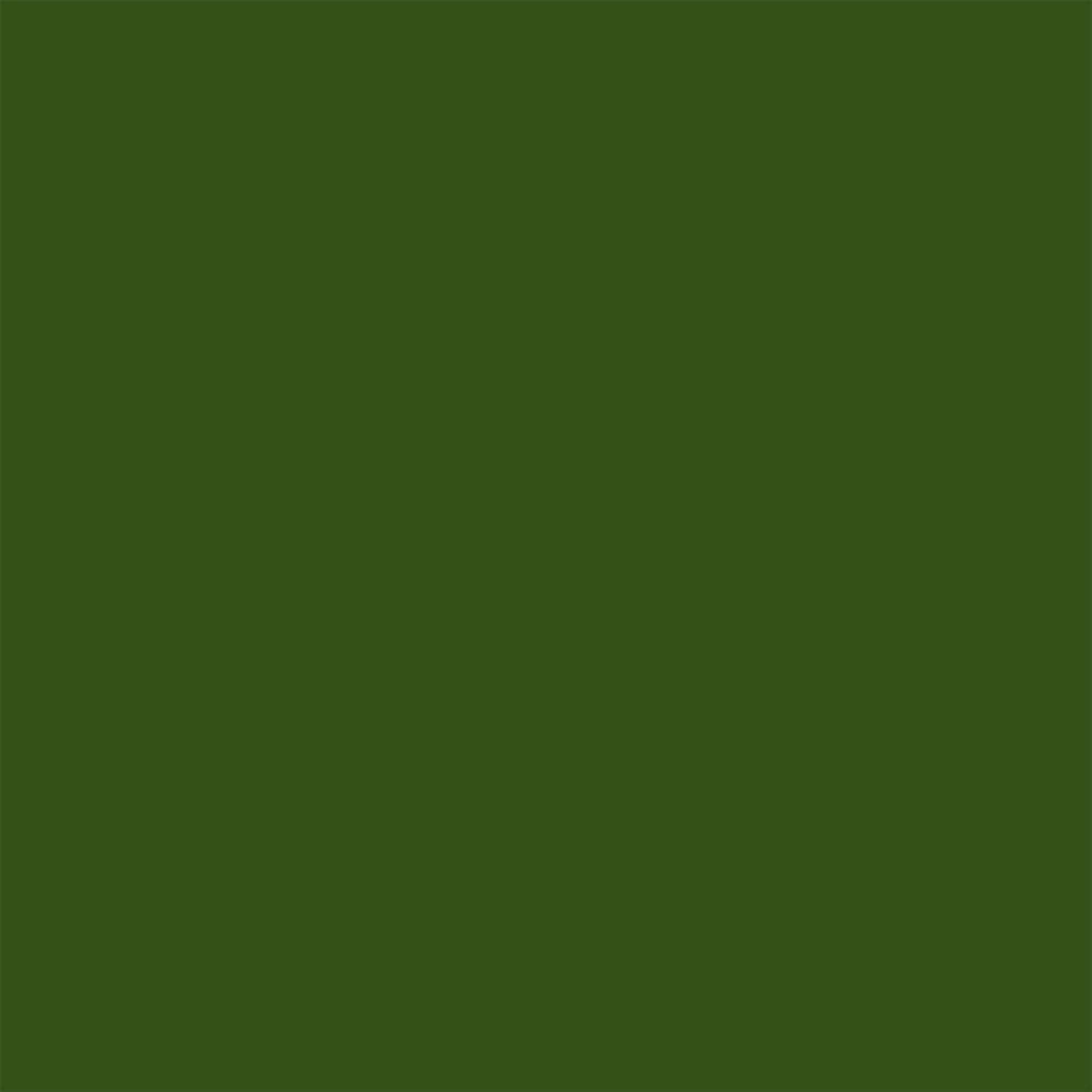 Braun & Company Servietten Colours of Green Forest 33 x 33 cm - 20er Pack