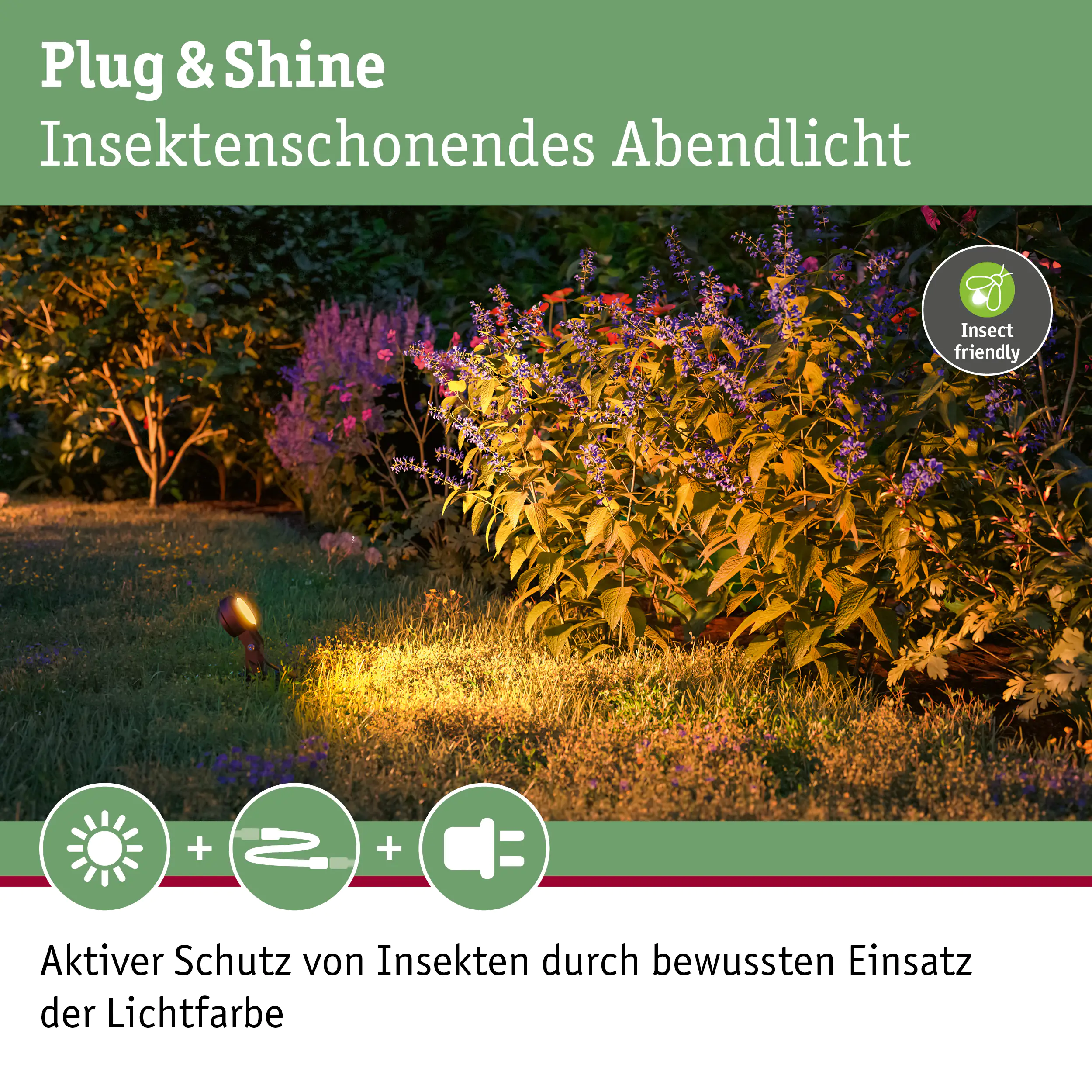 Paulmann Plug & Shine LED Spot Sting insect-friendly anthrazit 29 x 5,2 cm