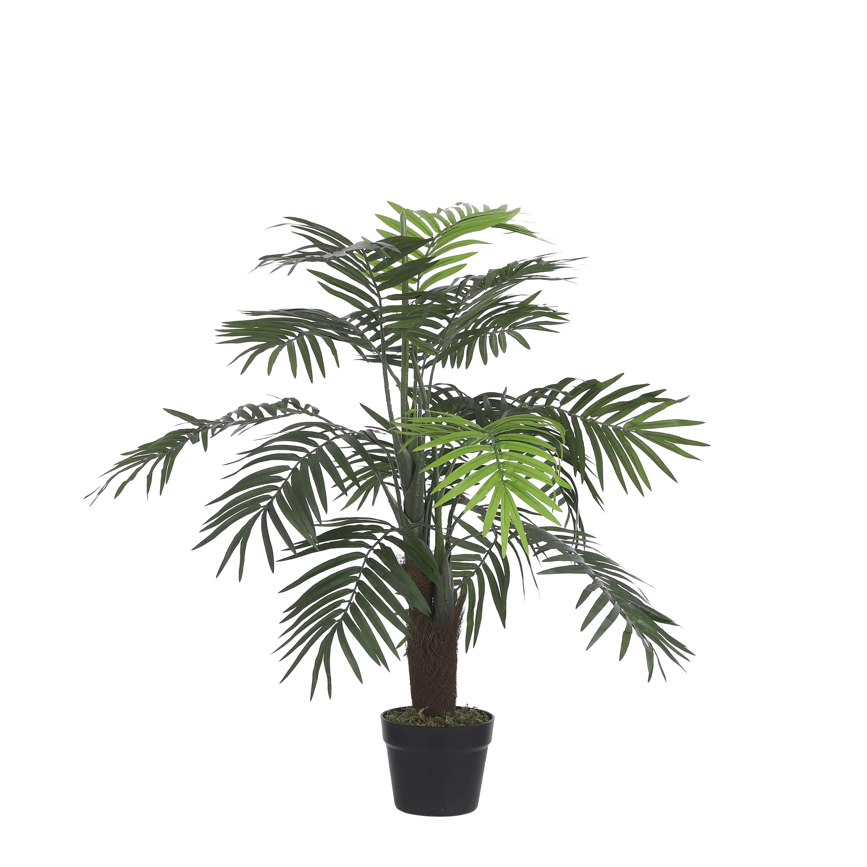 Mica Palme im Topf grün, 110 x 70 cm