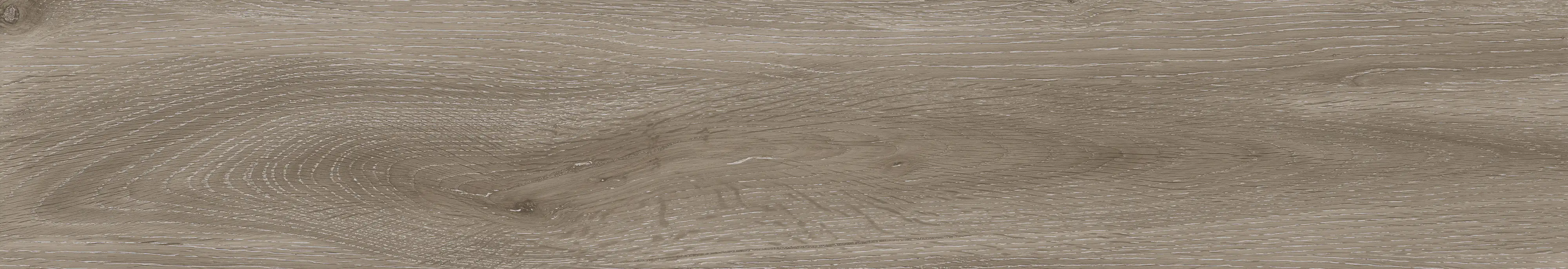 Bodenfliese Feinsteinzeug Triglav Taupe 20 x 120 cm dunkelbraun