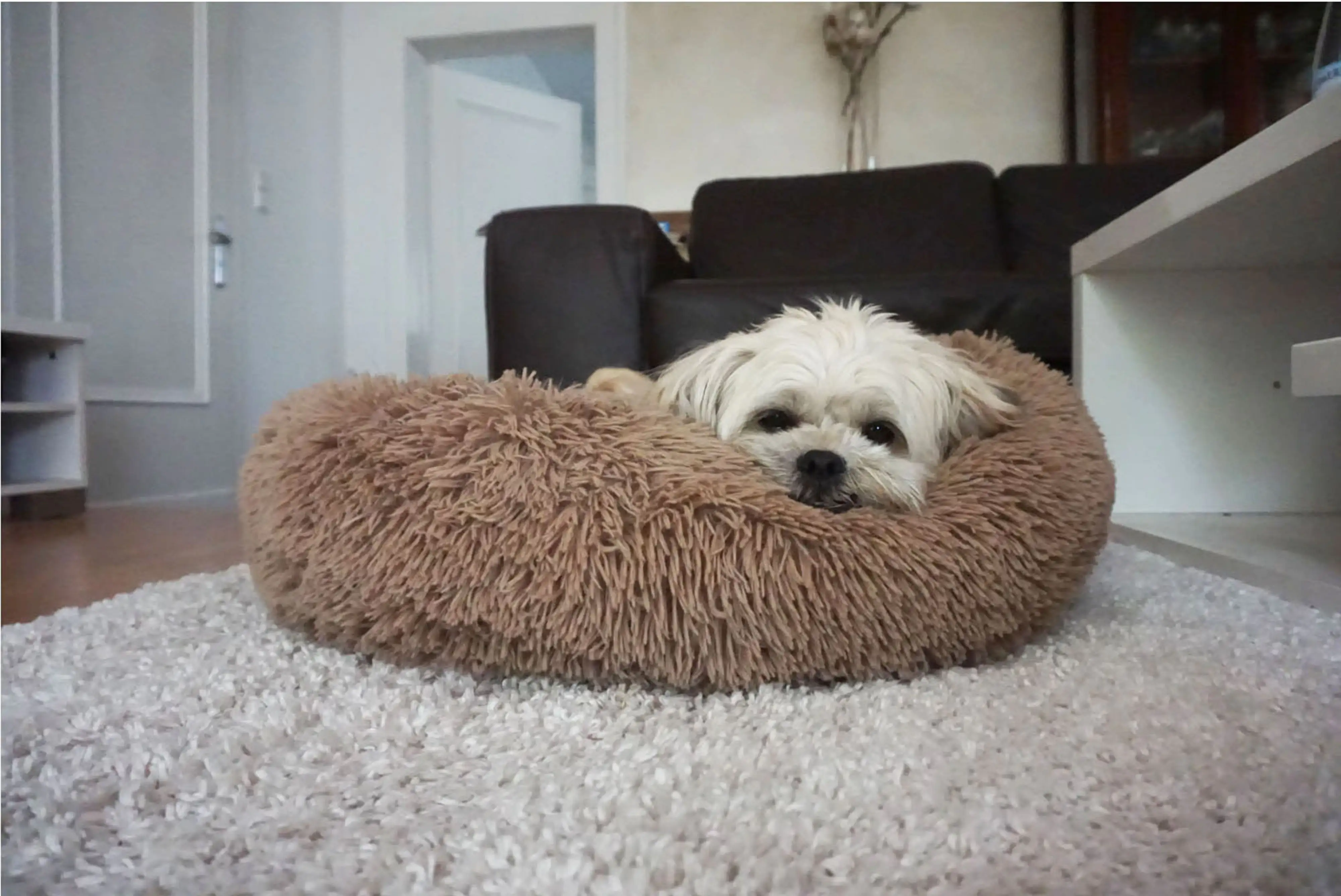 Nobby Kuschelbett Donut Classic Esla braun