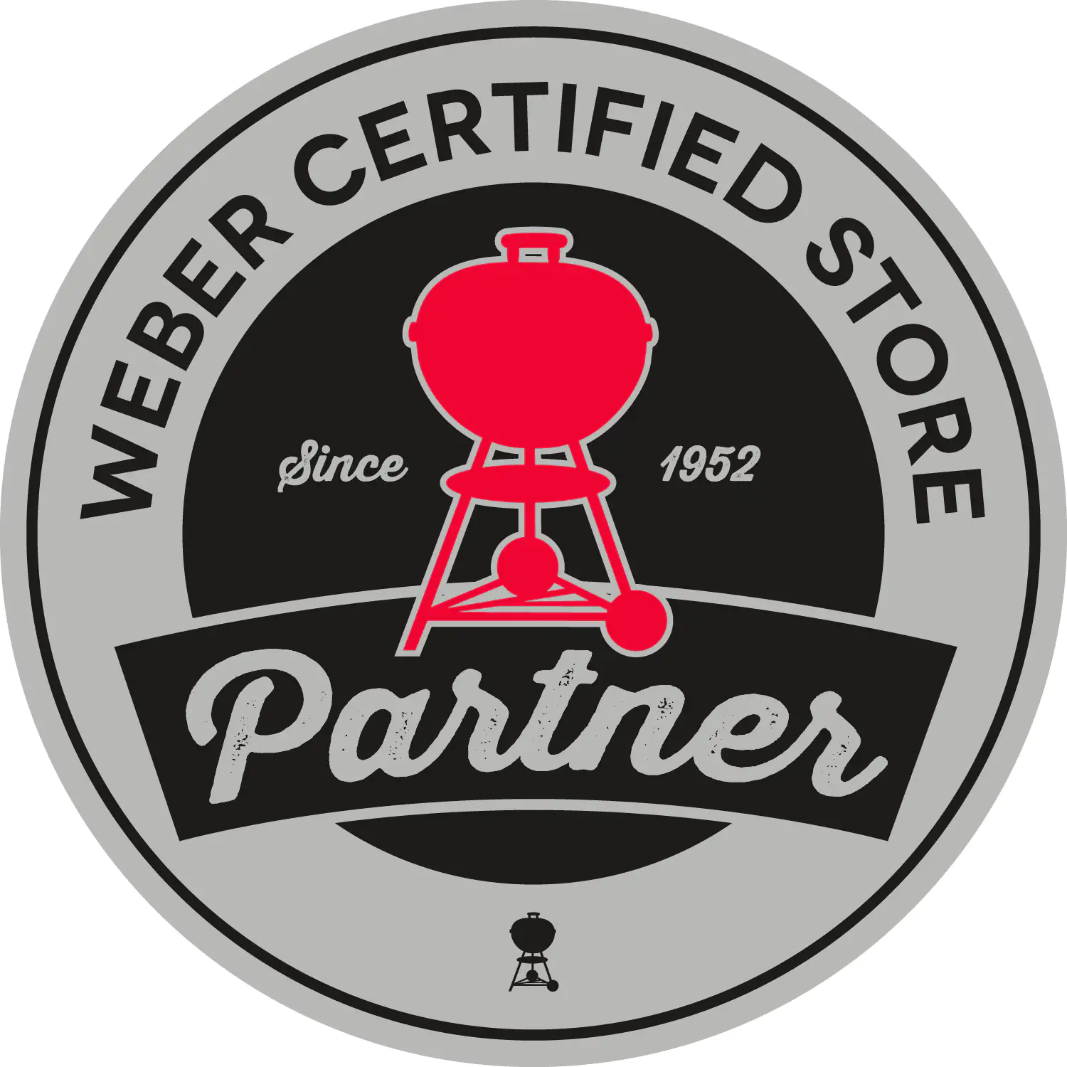 Weber Gasgrill Go-Anywhere; Grillfläche: 41x26 cm