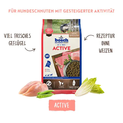 Bosch Hundetrockenfutter Adult 3 kg Geflügel 