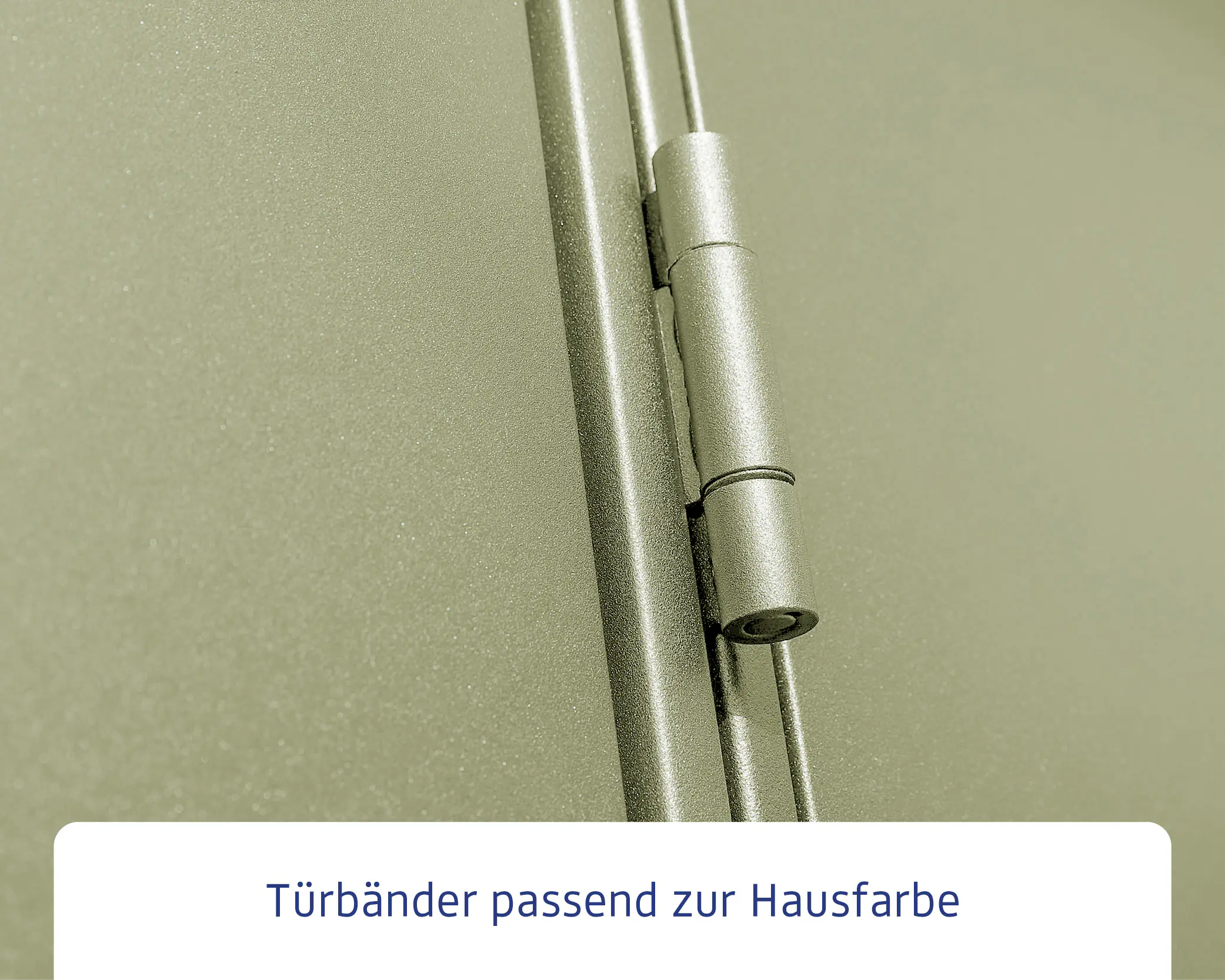 EcoStar Gerätehaus Elegant-P Typ 2 Schilfgrün 247,9 x 283,4 x 232,3 cm
