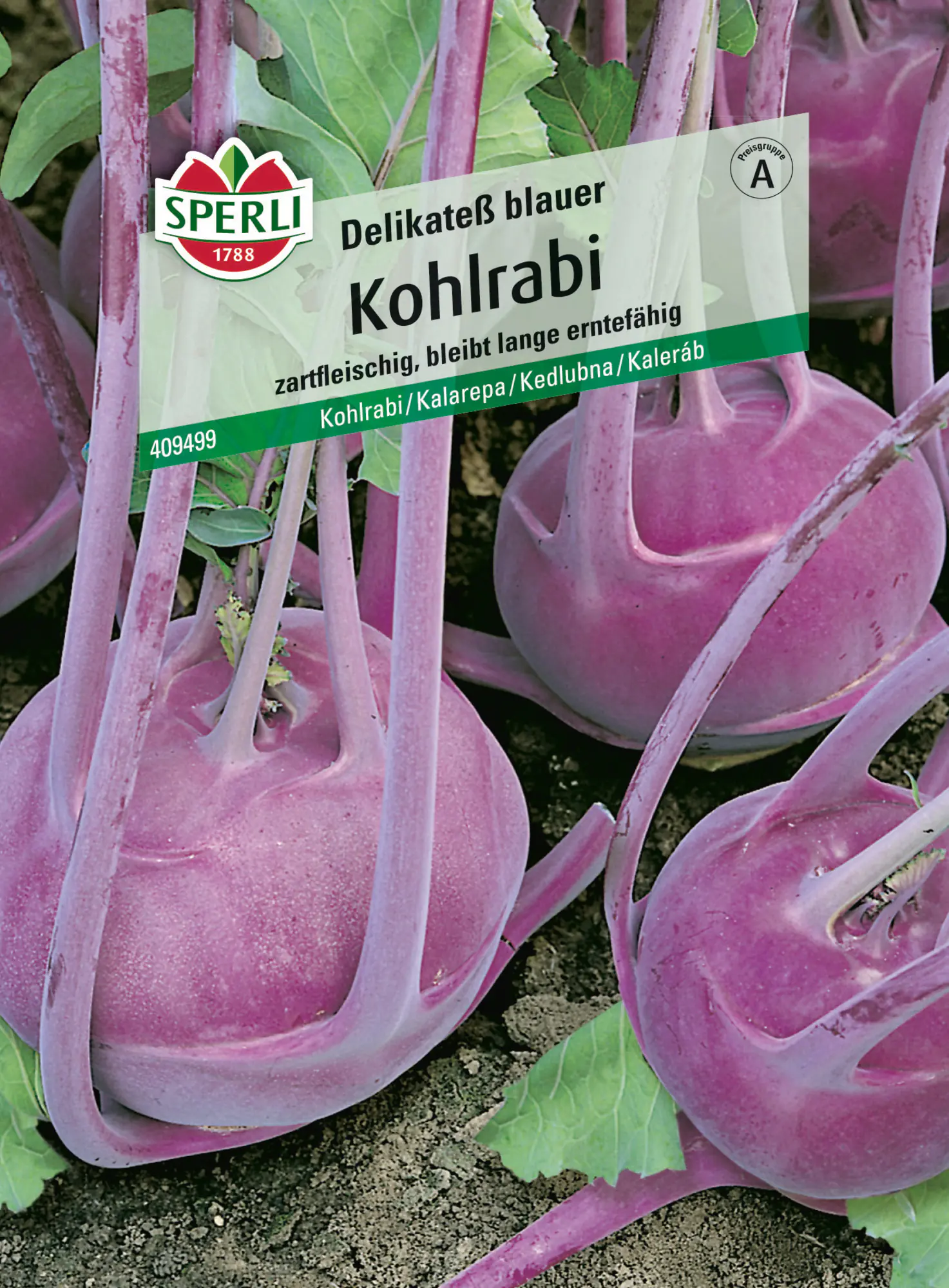 Sperli Saatgut Kohlrabi Delikateß Blauer für ca. 60 Pflanzen
