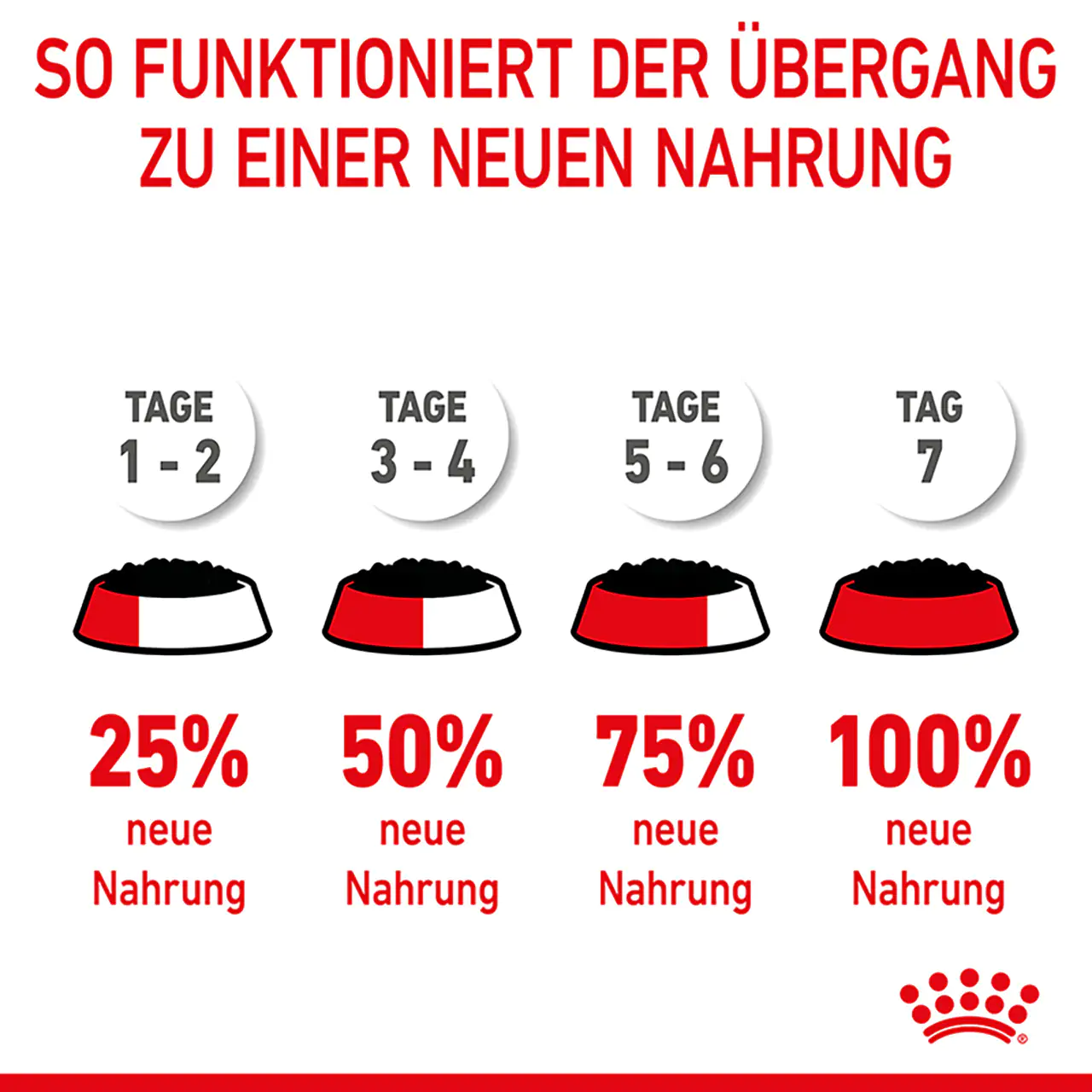 Royal Canin Katzenfutter Kitten feine Stückchen in Soße 85 g