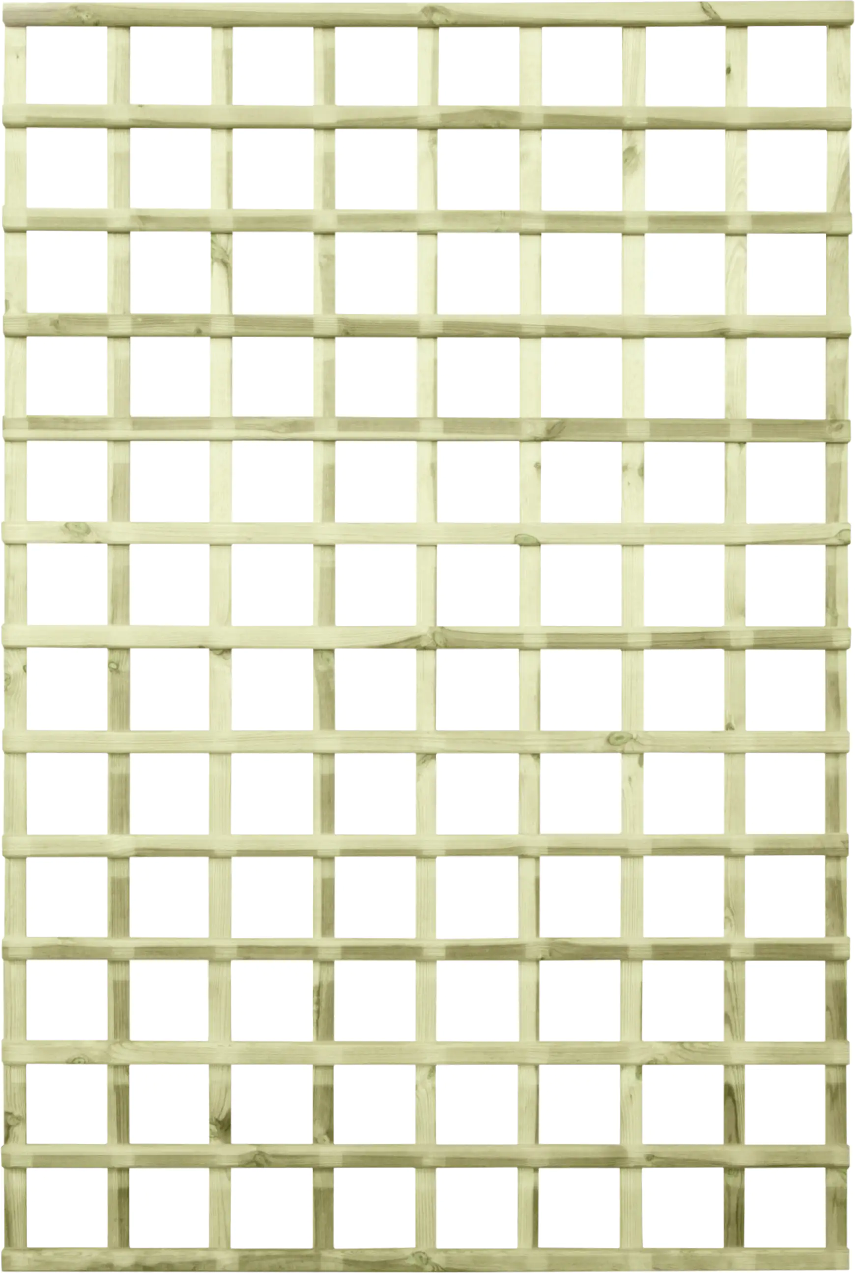 Rankgitter 120 x 180 cm kesseldruckimprägniert