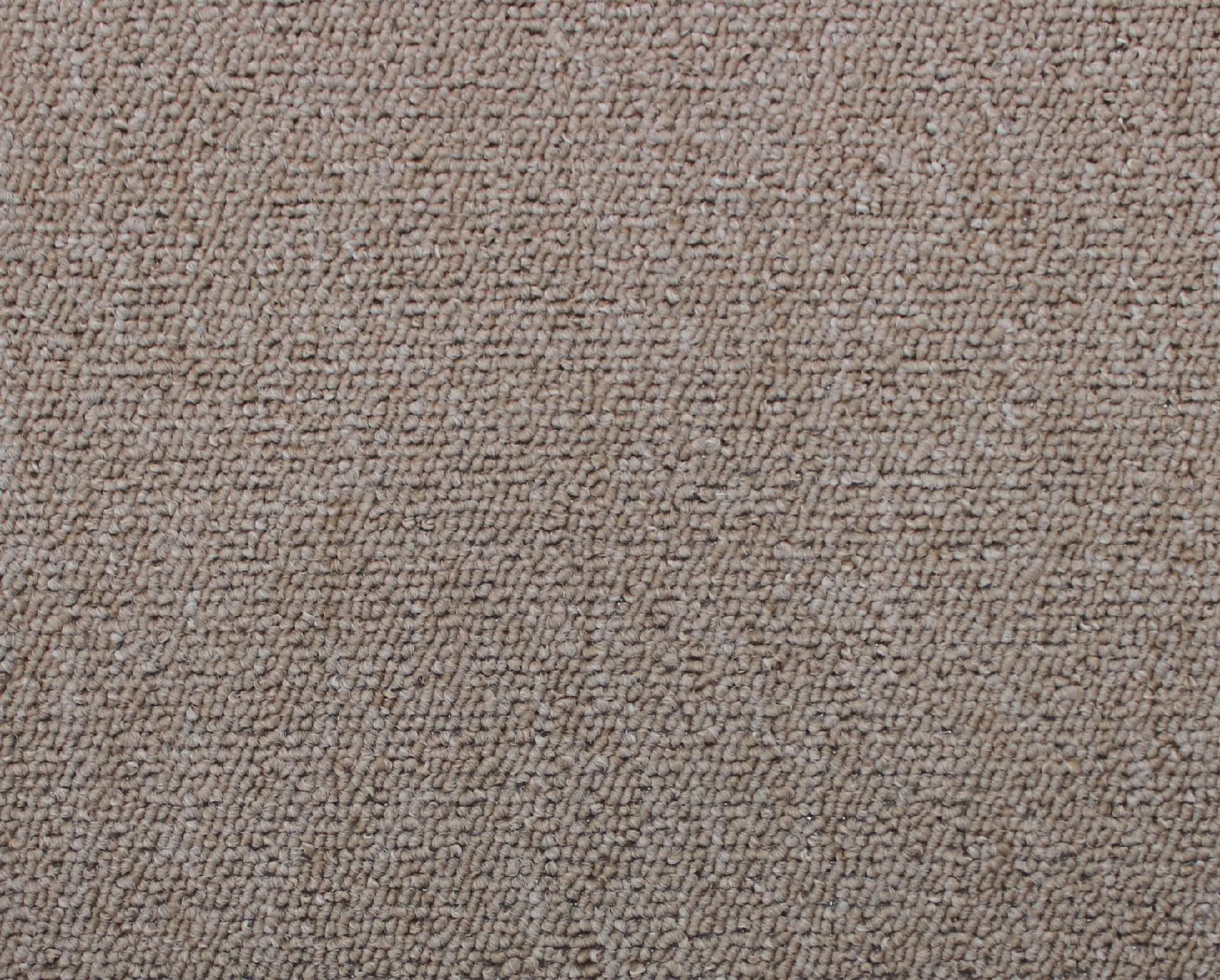 Andiamo Teppichboden Meterware Stella beige 5 m breit