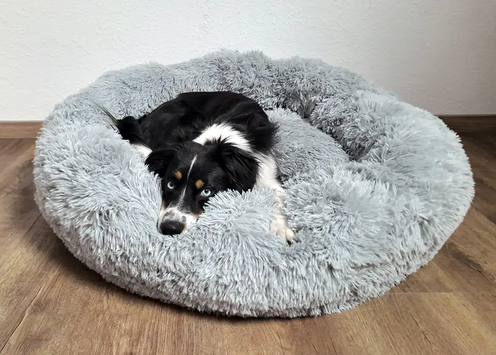 Nobby Hundebett & Katzenbett Donut Classic Esla 50 x 20 cm grau