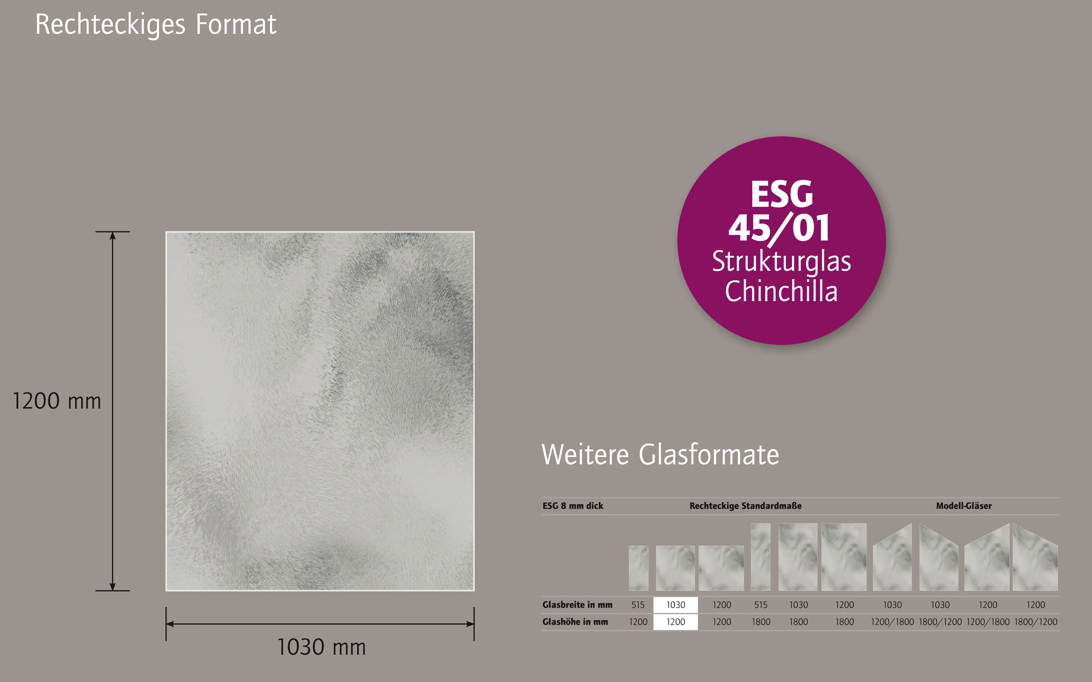 Ambiente Glaszaun B x H: 103 cm x 120 cm, gehärtetes 8 mm Glas