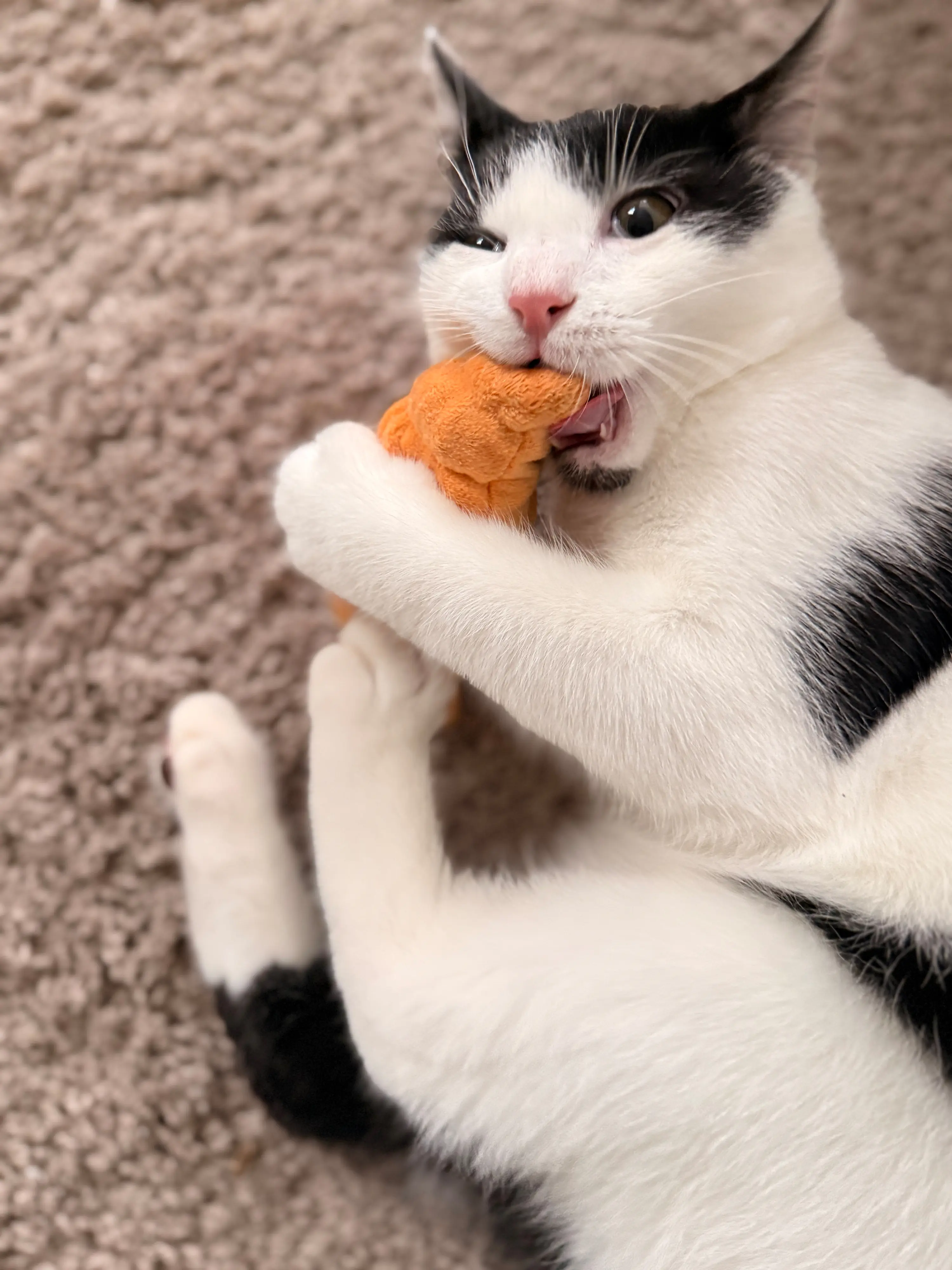 Aumüller Katzenspielzeug Croissant 13 x 5 cm hellbraun
