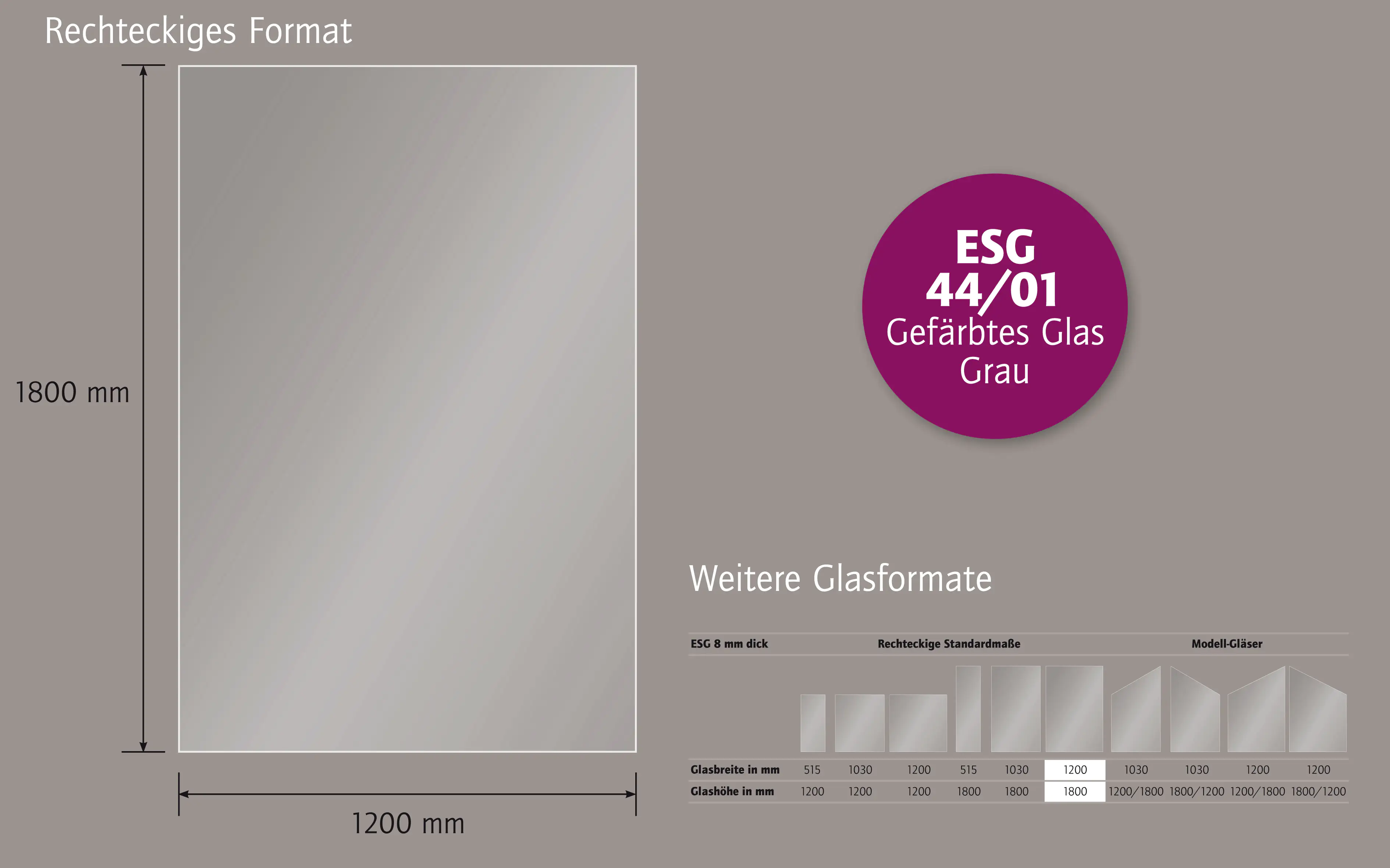 Ambiente Glaszaun B x H: 120 cm x 180 cm, gehärtetes 8 mm Glas