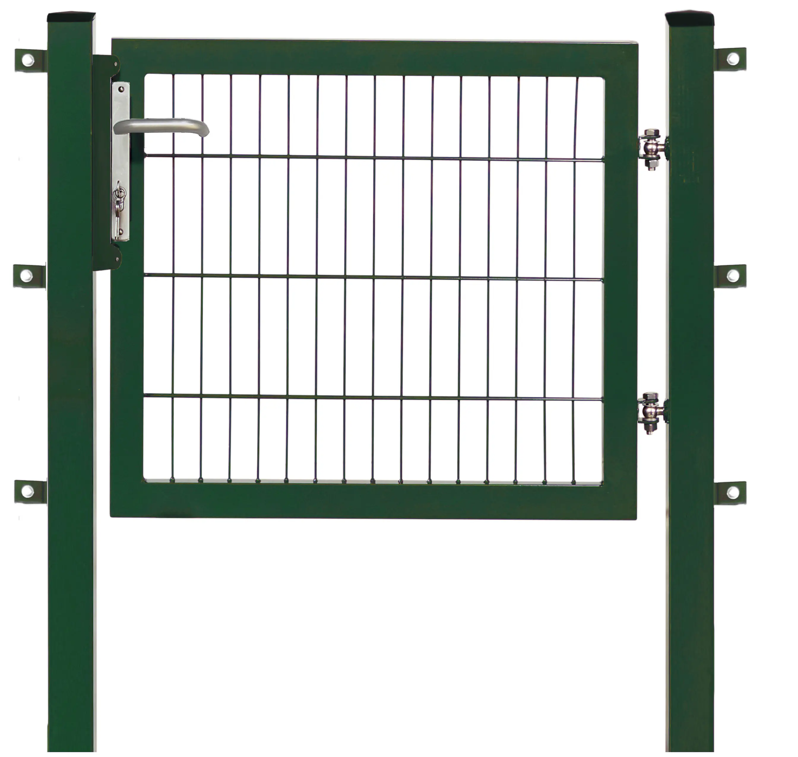 Floraworld Gartentor Premium 100 x 80 cm moosgrün