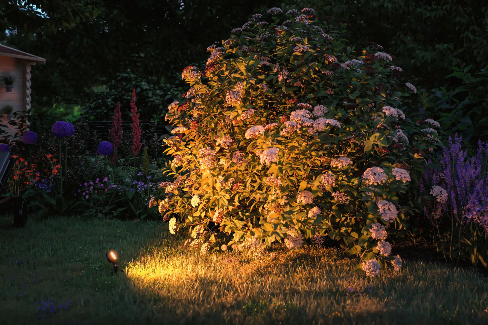 Paulmann Plug & Shine LED Spot Sting insect-friendly anthrazit 29 x 5,2 cm