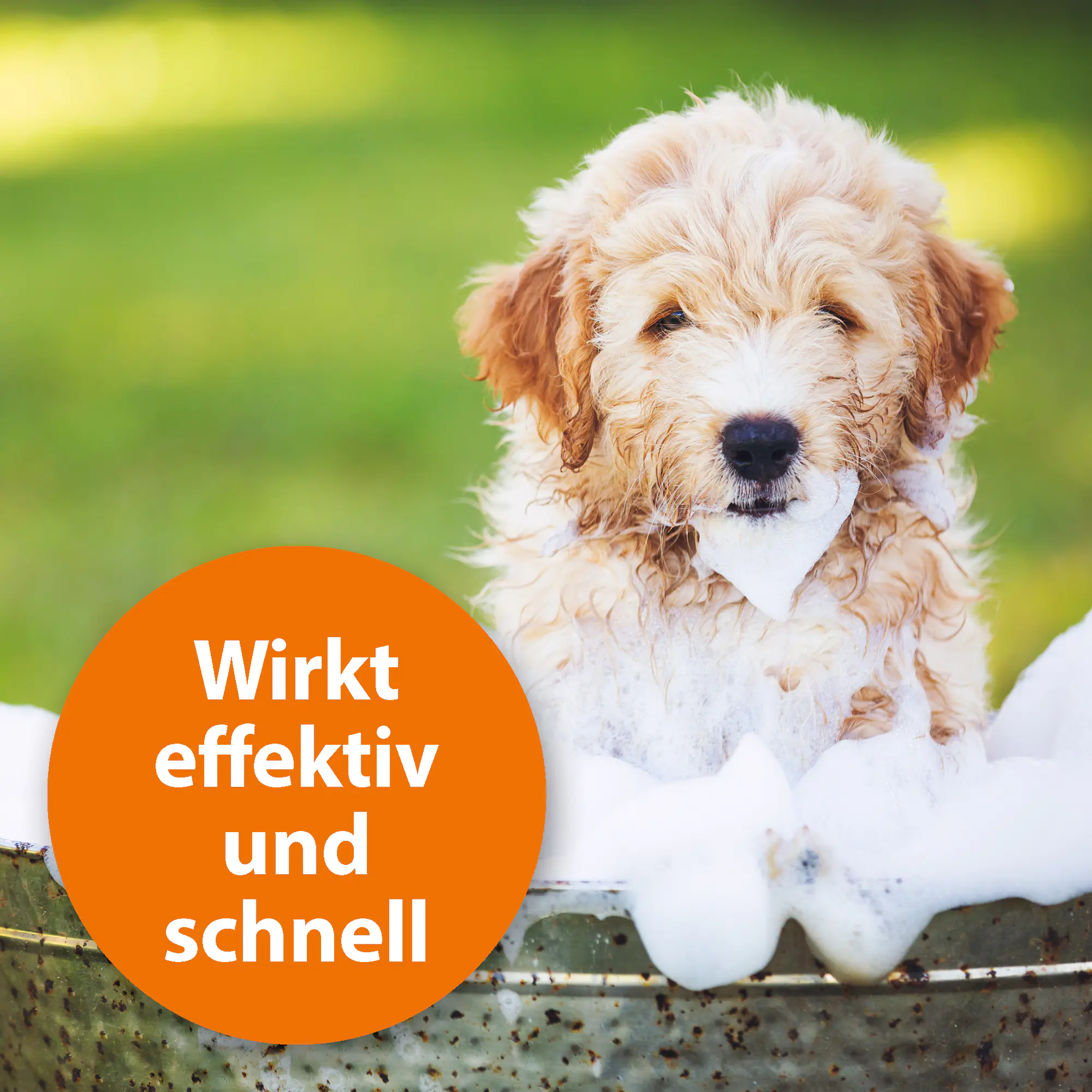 ARDAP Anti Zecken-Shampoo für Hunde 250 ml