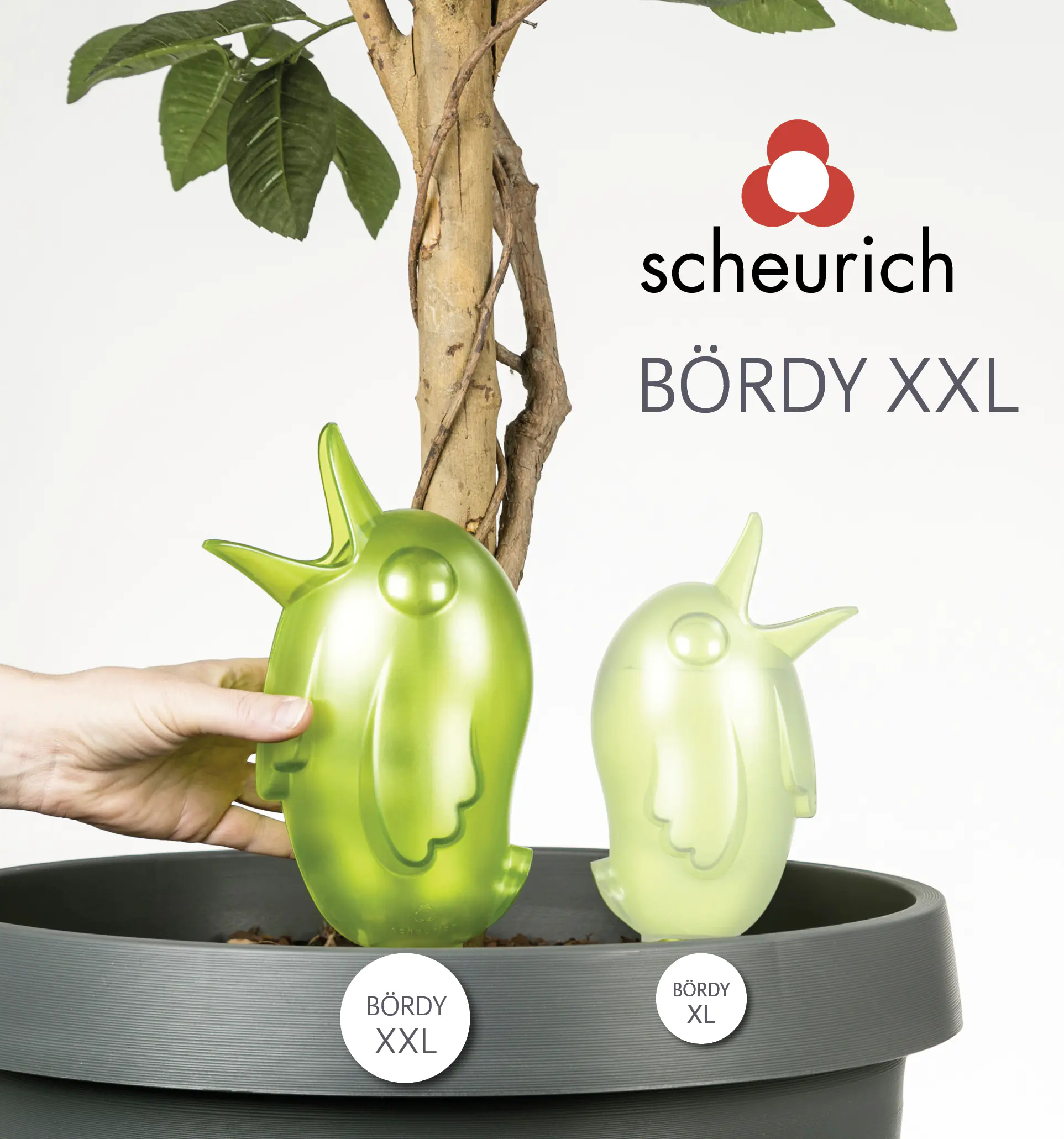 Scheurich Bewässerungshilfe Bördy XXL champagne pearl 33 cm 