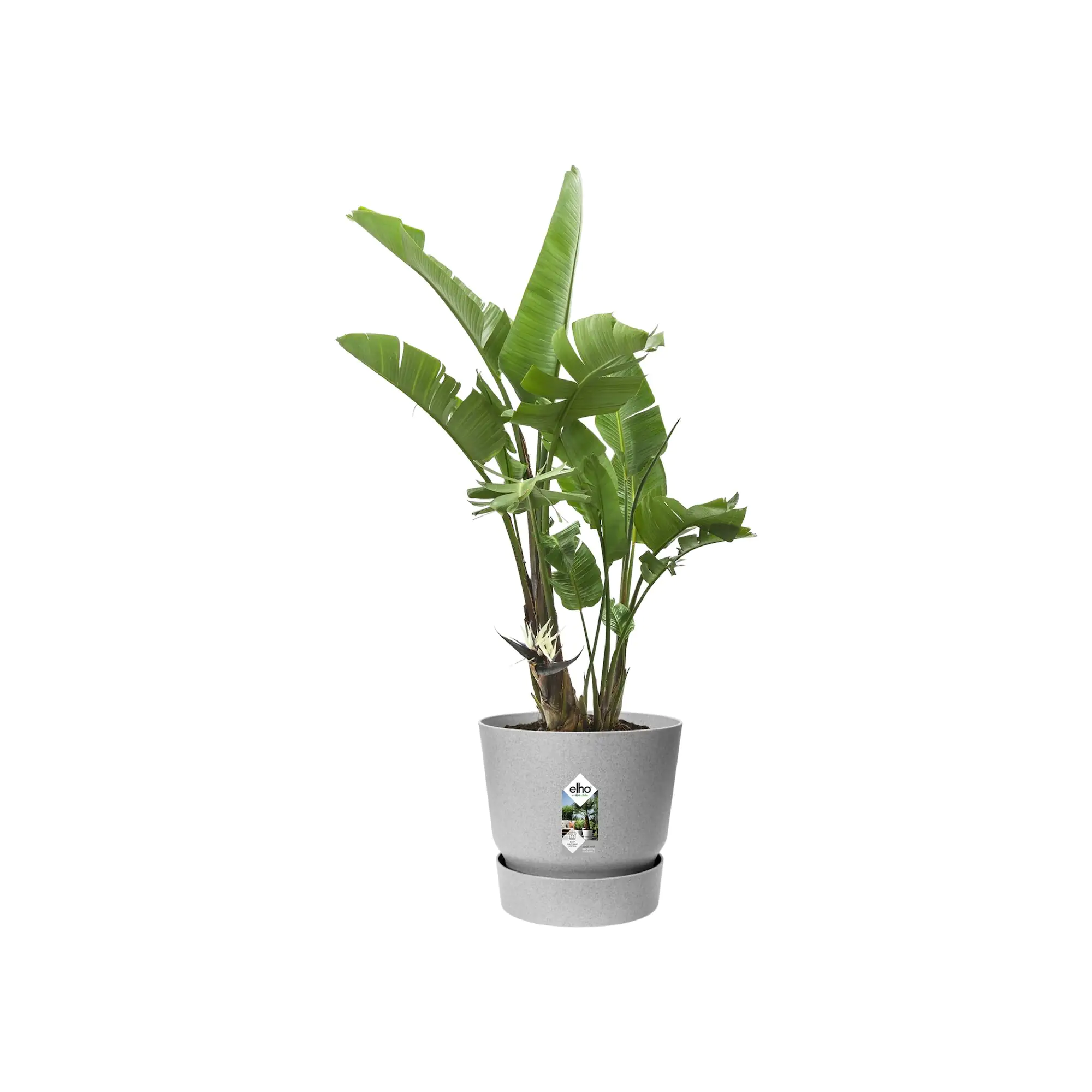 Elho Pflanztopf Greenville Ø 47 x 44 cm living beton