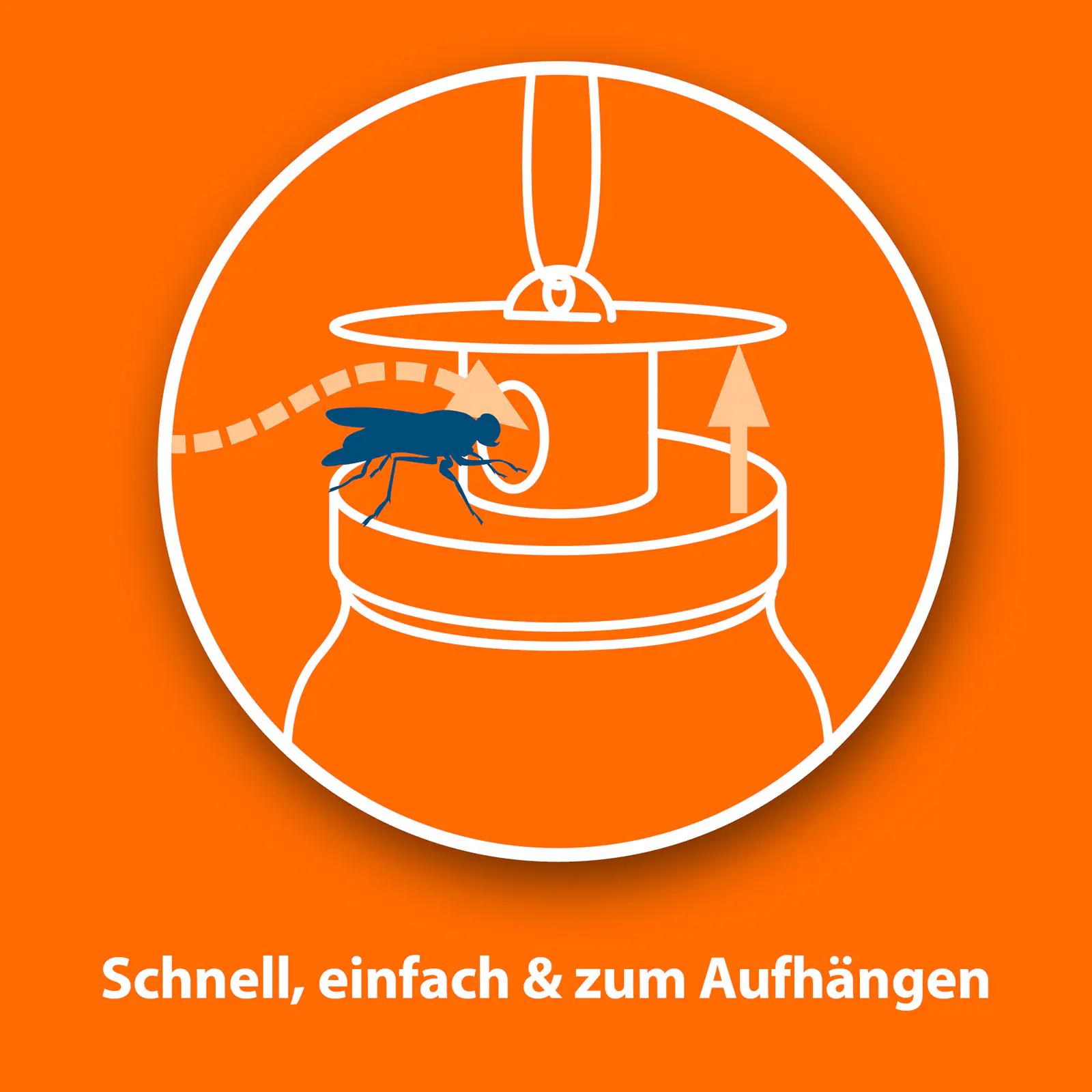 Ardap Fliegenfalle mit Lockstoff 1 Stück