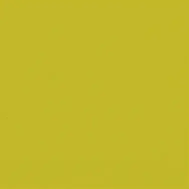 Duni Servietten kiwi 33 x 33 cm - 50er Pack
