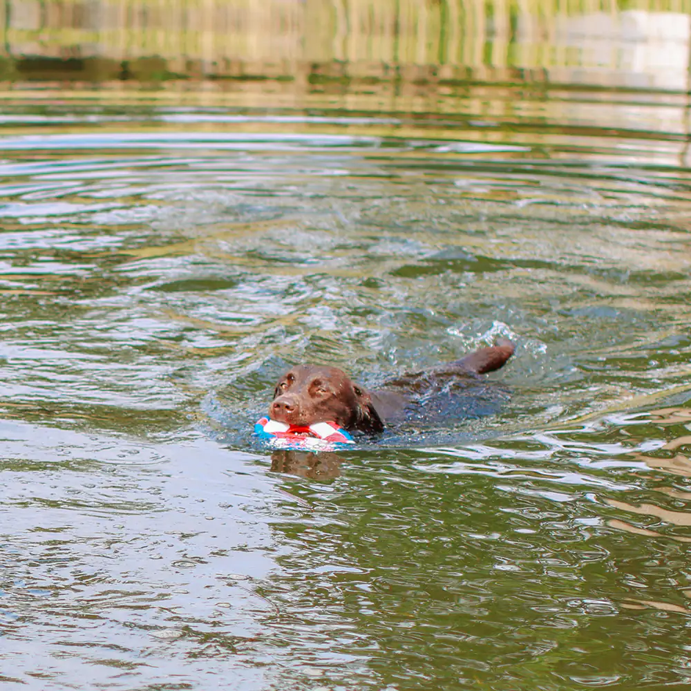 Nobby Rettungsring mit Seil Floating Ø 20 cm