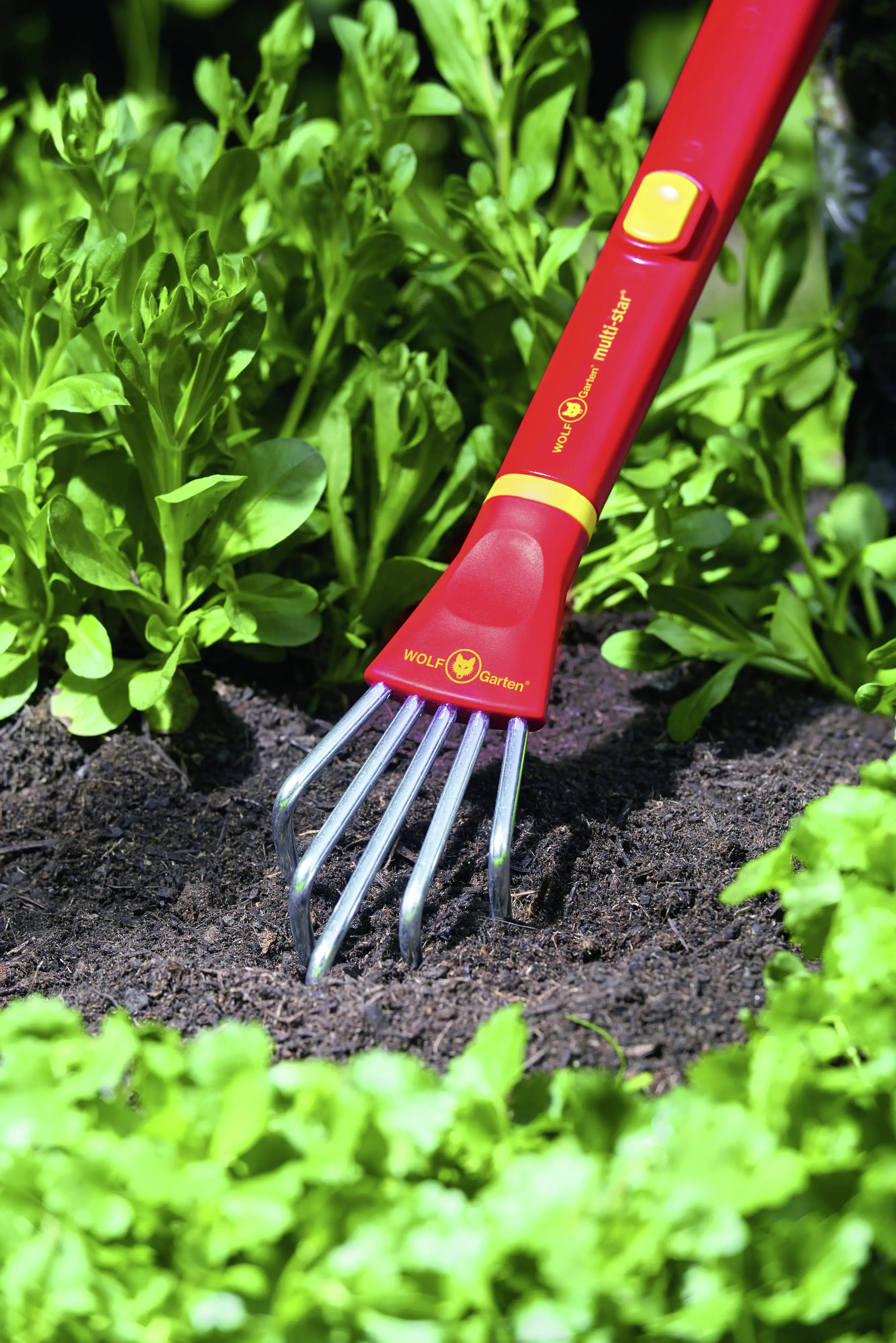 Wolf Garten Kralle LF-M 6,5 cm Arbeitsbreite