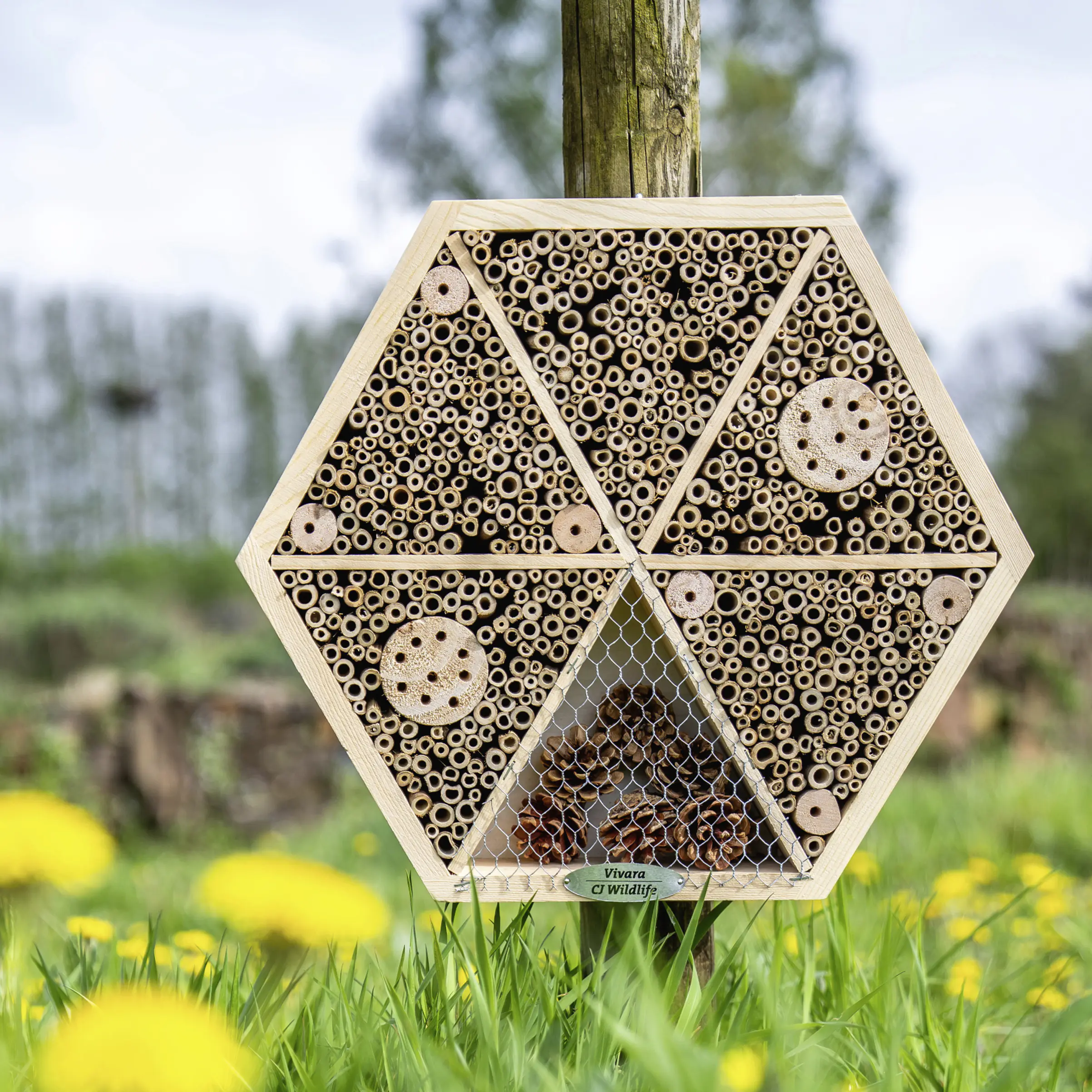 CJ Wildlife Insektenhaus Hexagon natur 33,6 x 33,6 cm