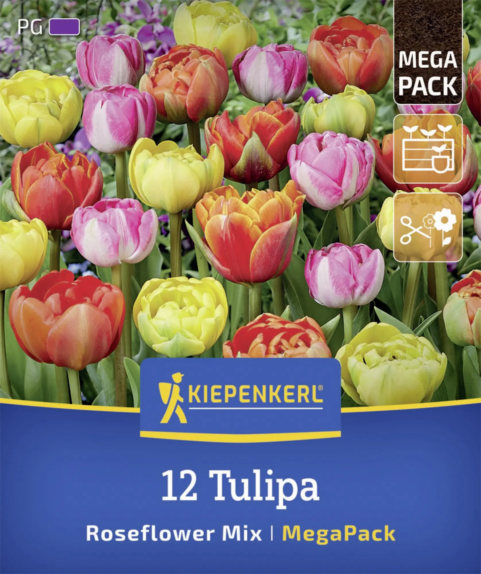 Kiepenkerl Herbstblumenzwiebelmischung Mega-Pack Gefüllte Späte Rosentulpen 12 Stück