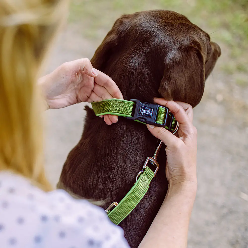 Nobby Hundehalsband Classic Preno M-L waldgrün