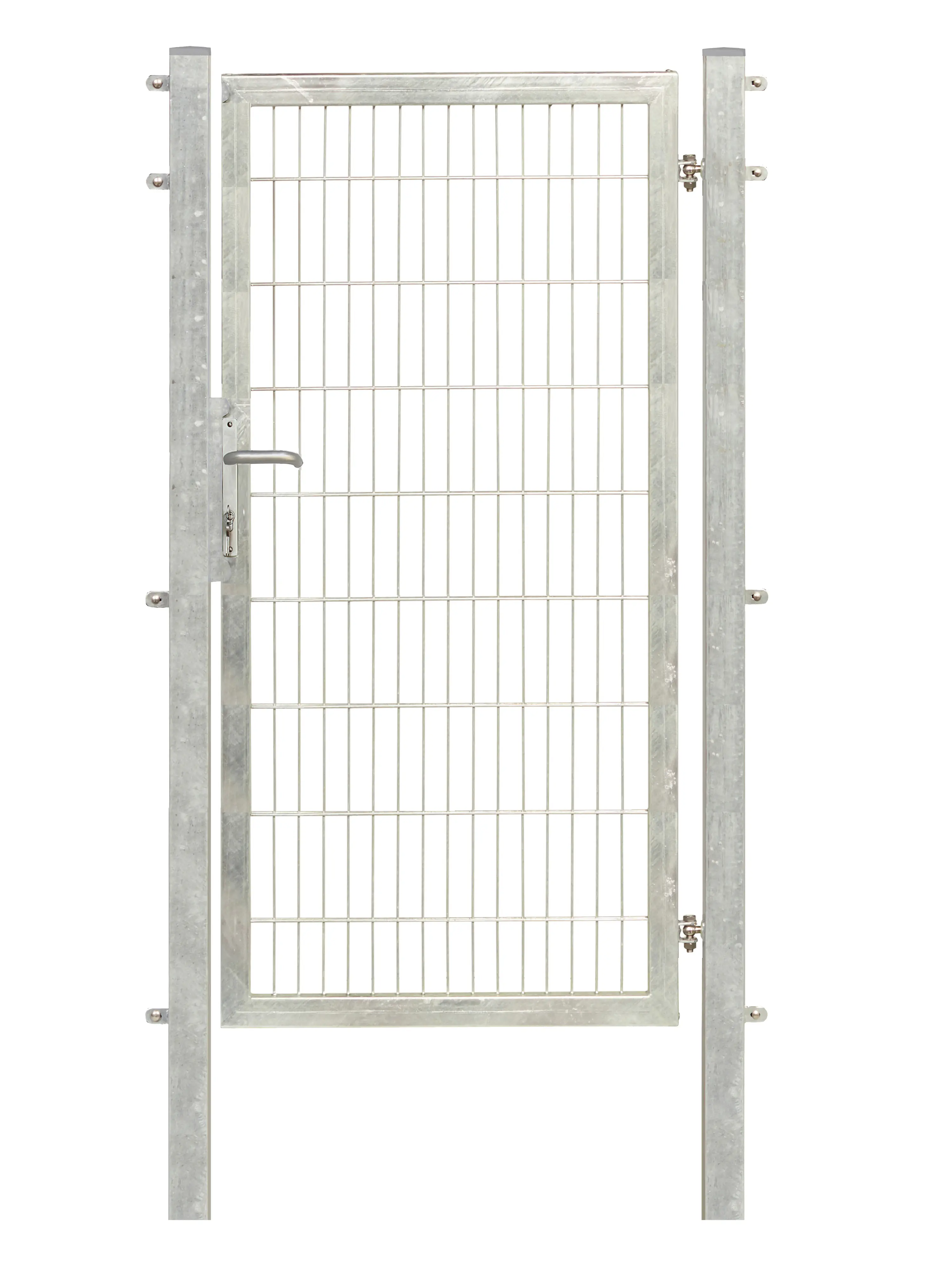 Floraworld Gartentor Premium 100 x 180 cm feuerverzinkt