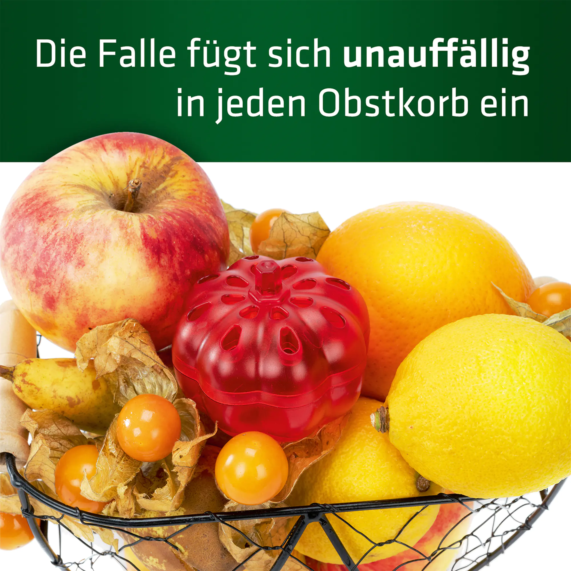Gardigo Fruchtfliegen-Falle Mini 2er-Set