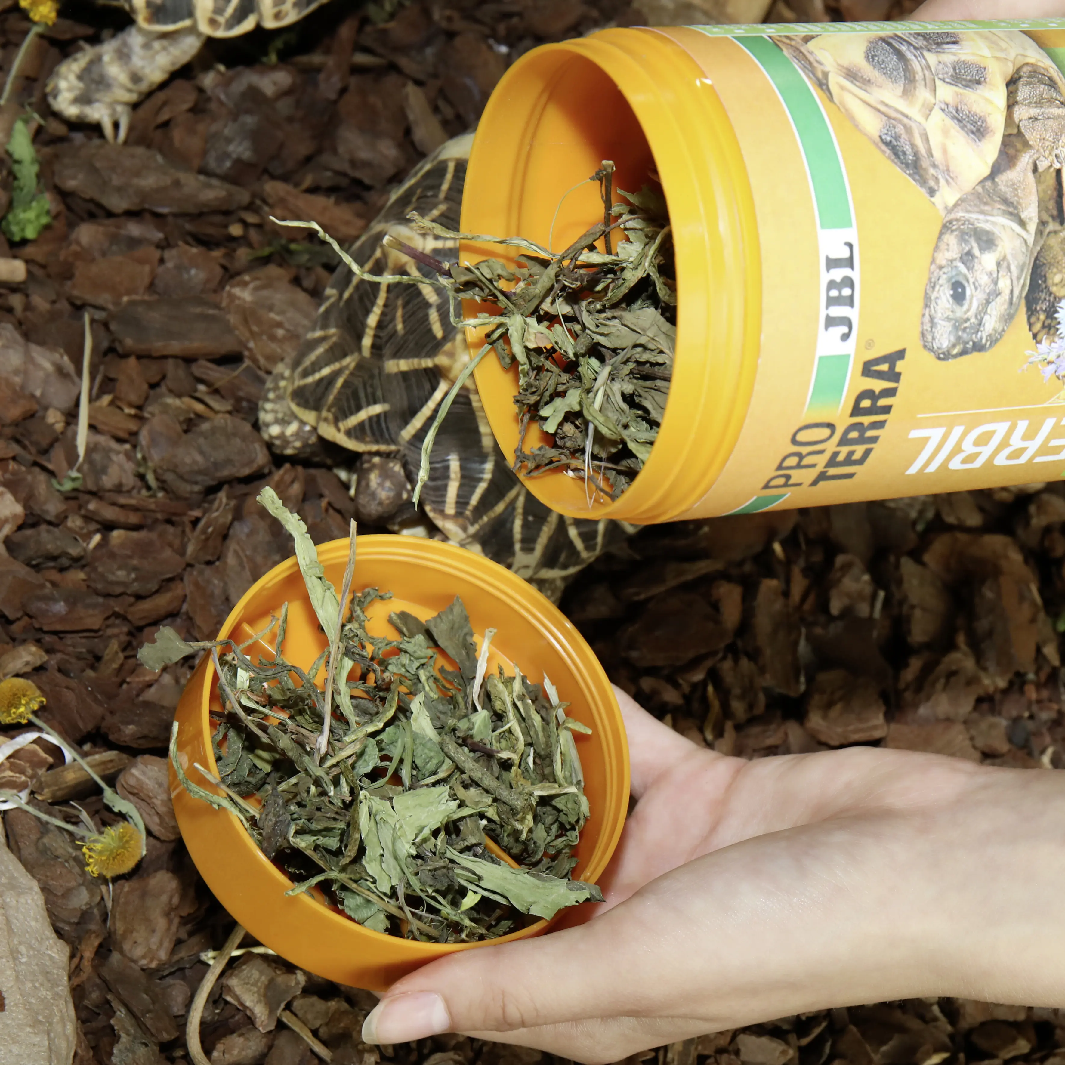 JBL Schildkrötenfutter Proterra Herbil 250 ml