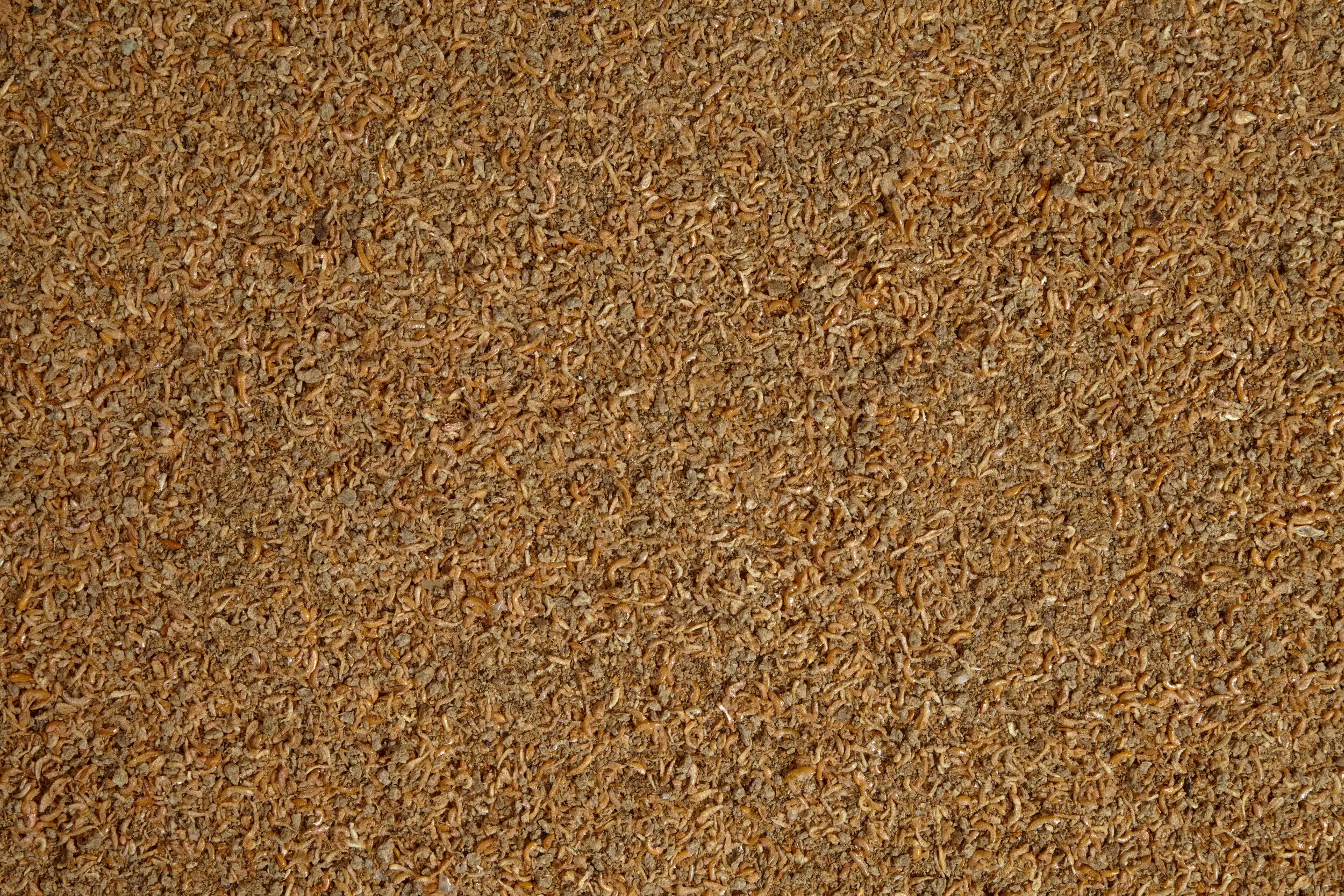Tetra Delica Mix 250 ml