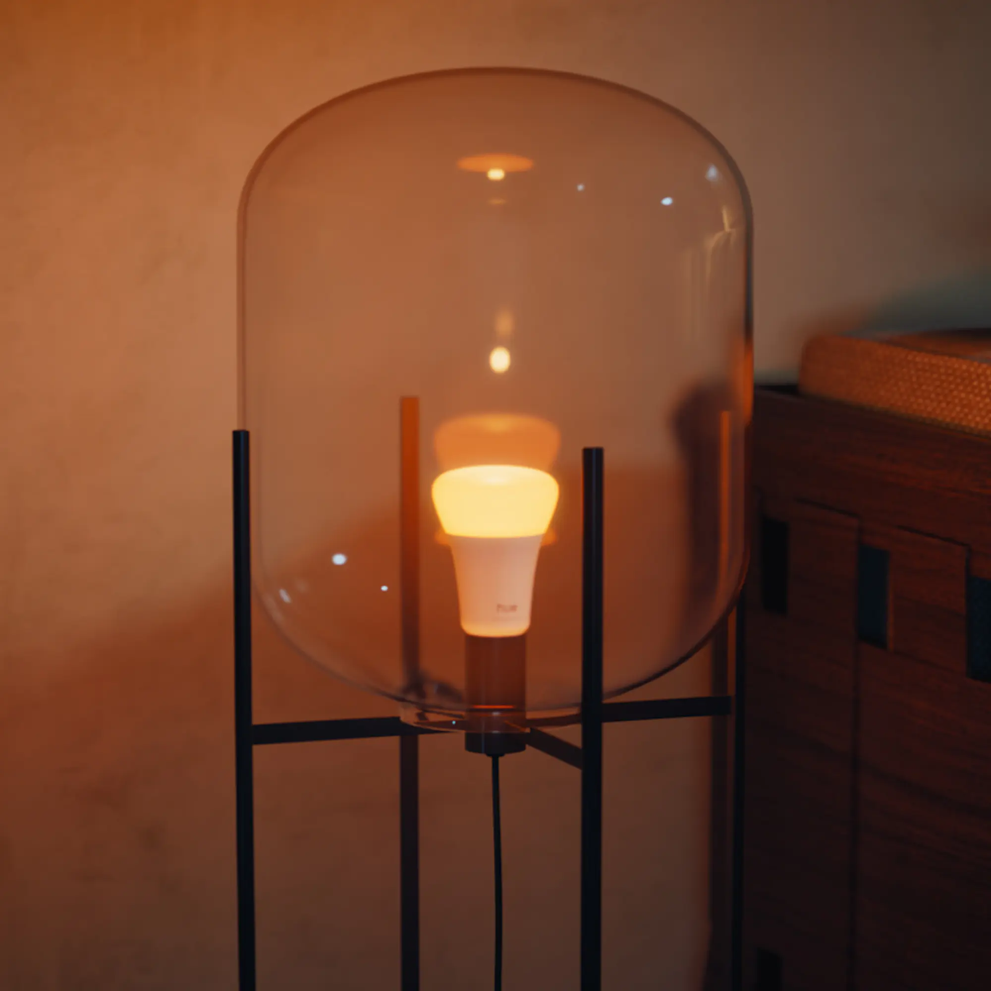 Philiph Hue Smart LED Leuchtmittel 11,8 W E27 warmweiß-kühlweiß dimmbar 