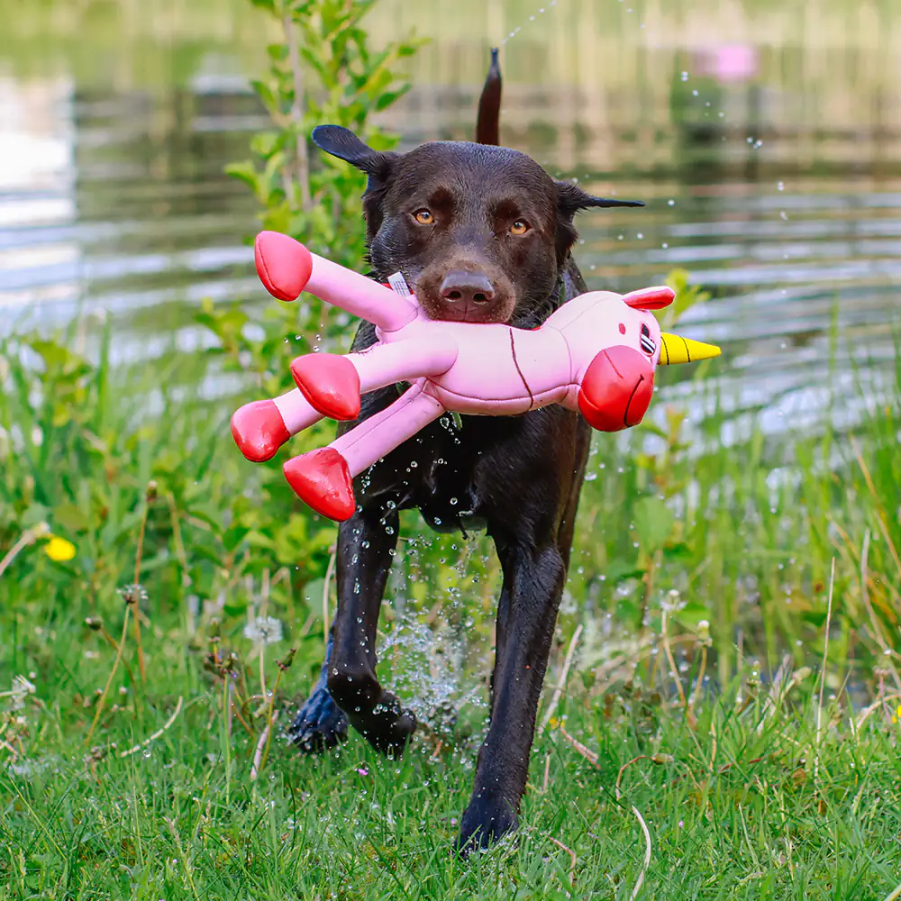 Nobby Wasserspielzeug Hund Einhorn Floating 39,5 cm rosa