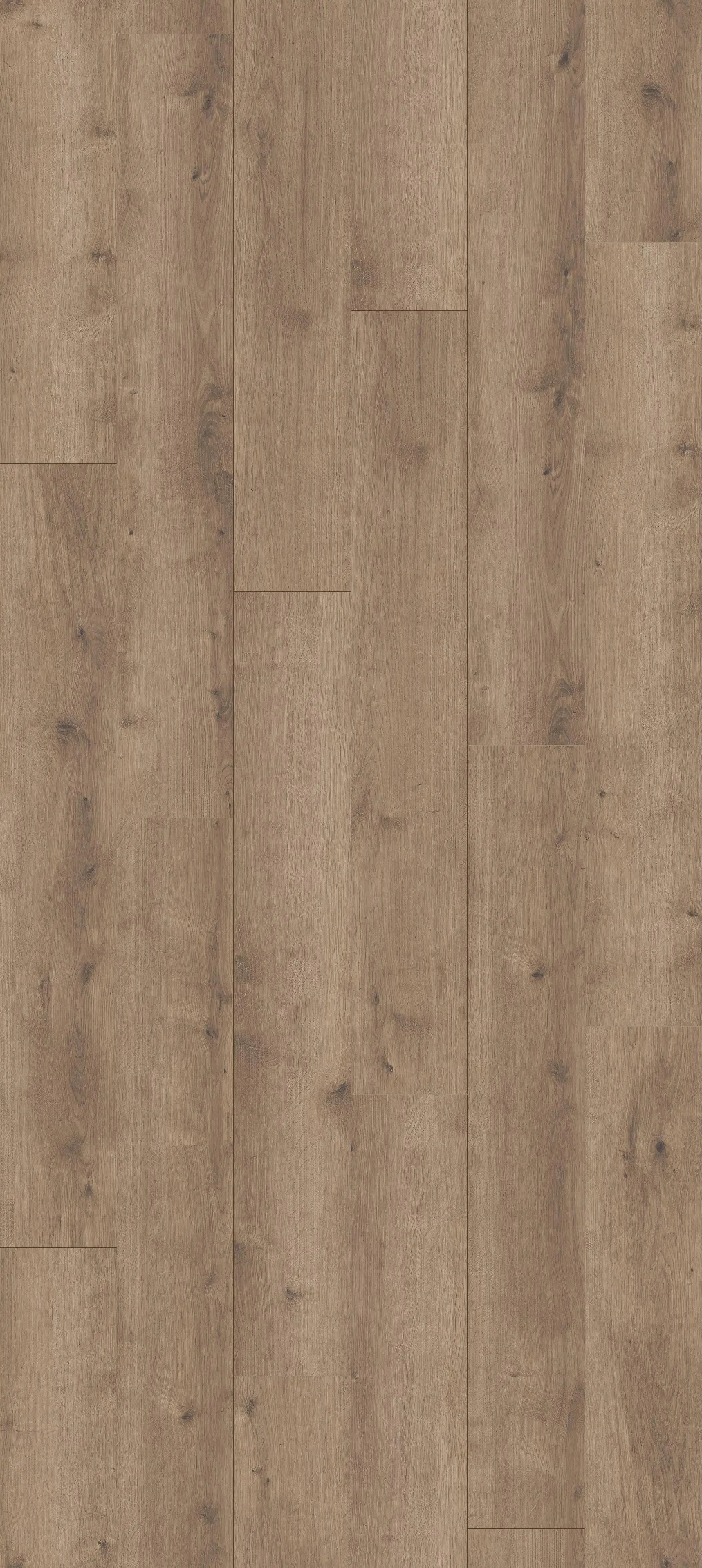 Parador Vinylboden Modular ONE Eiche Pure perlgrau Landhaus