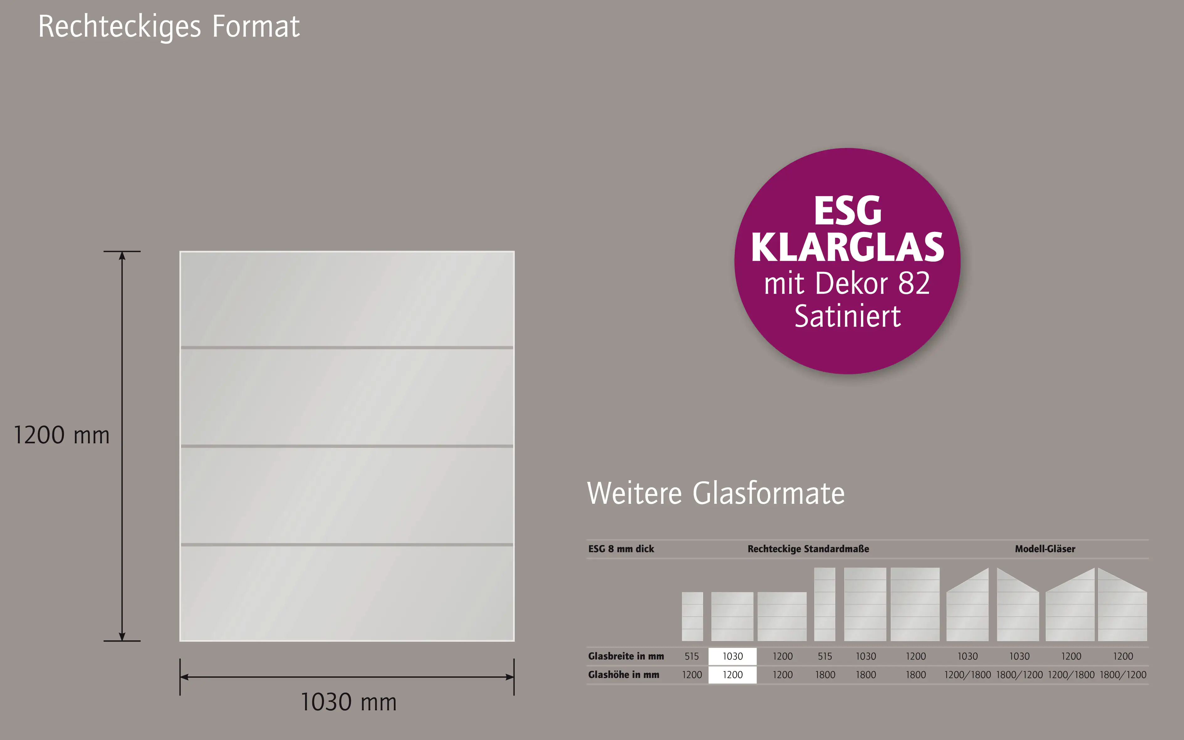 Ambiente Glaszaun Dekor 82 103 x 120 cm gehärtetes 8 mm Glas