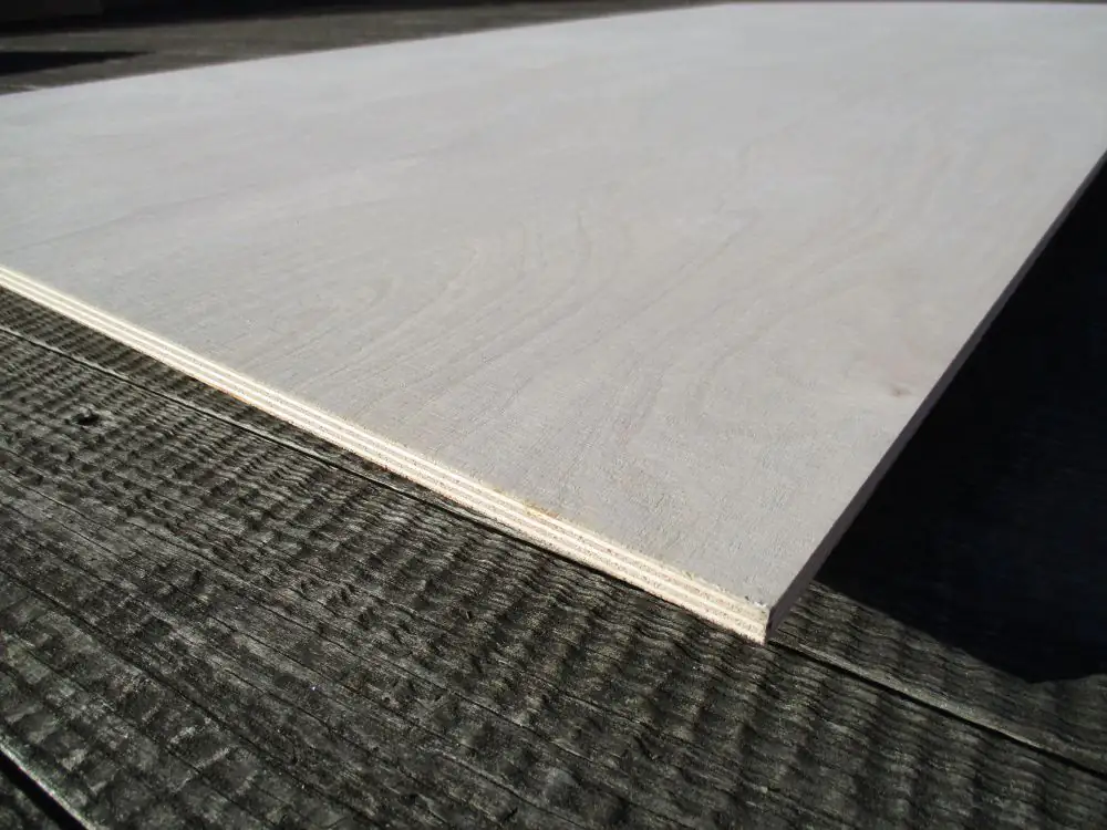 Sperrholzplatte Multiplex Birke 120 x 60 cm, 12 mm
