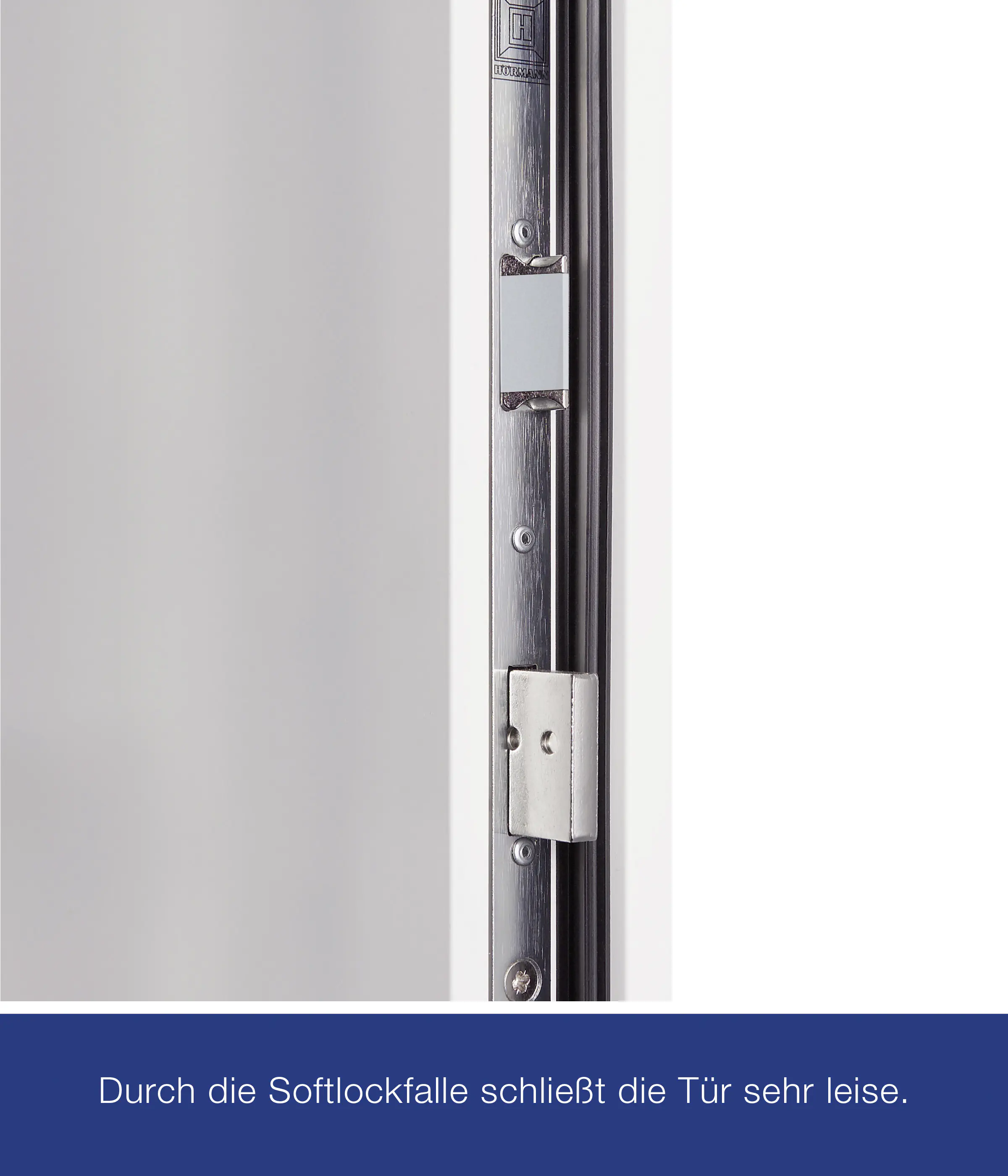 Hörmann Haustür Thermo65 Motiv 610S anthrazitgrau Links 110 x 210 cm