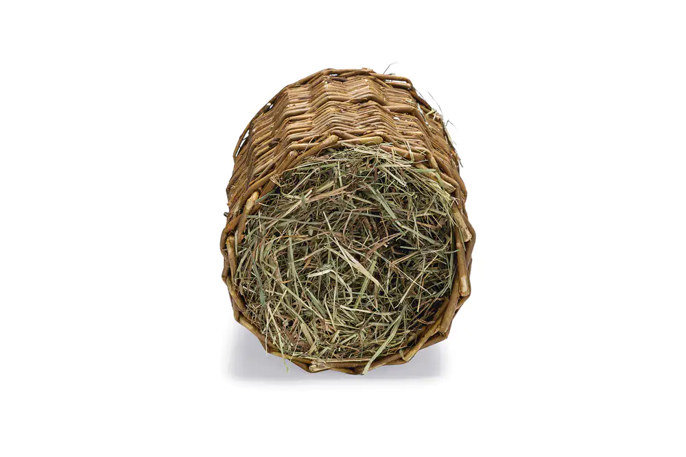 Beeztees Weidentunnel mit Heu 30 cm