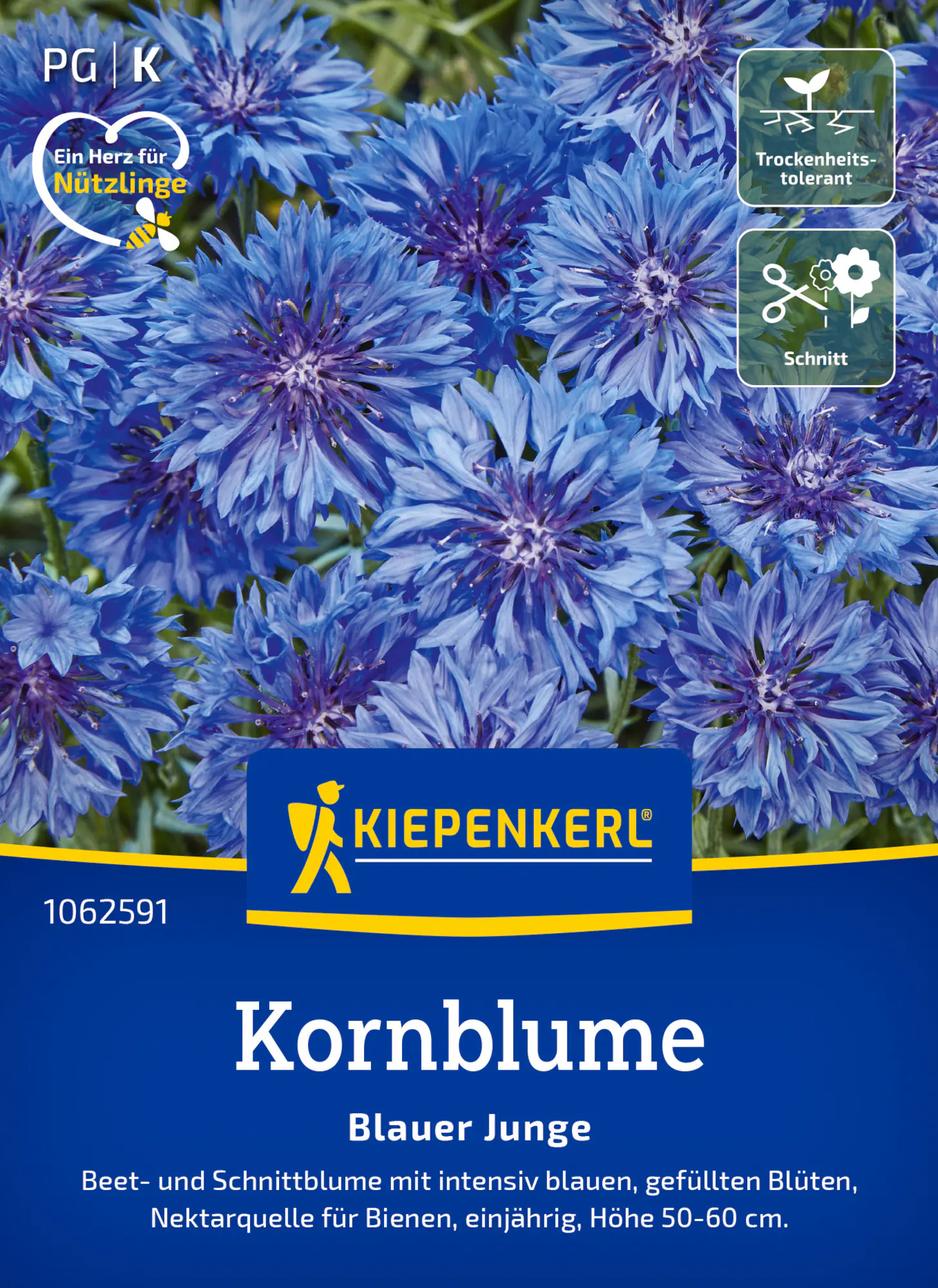Kiepenkerl Blumensamen Kornblume Blauer Junge für ca. 80 Pflanzen
