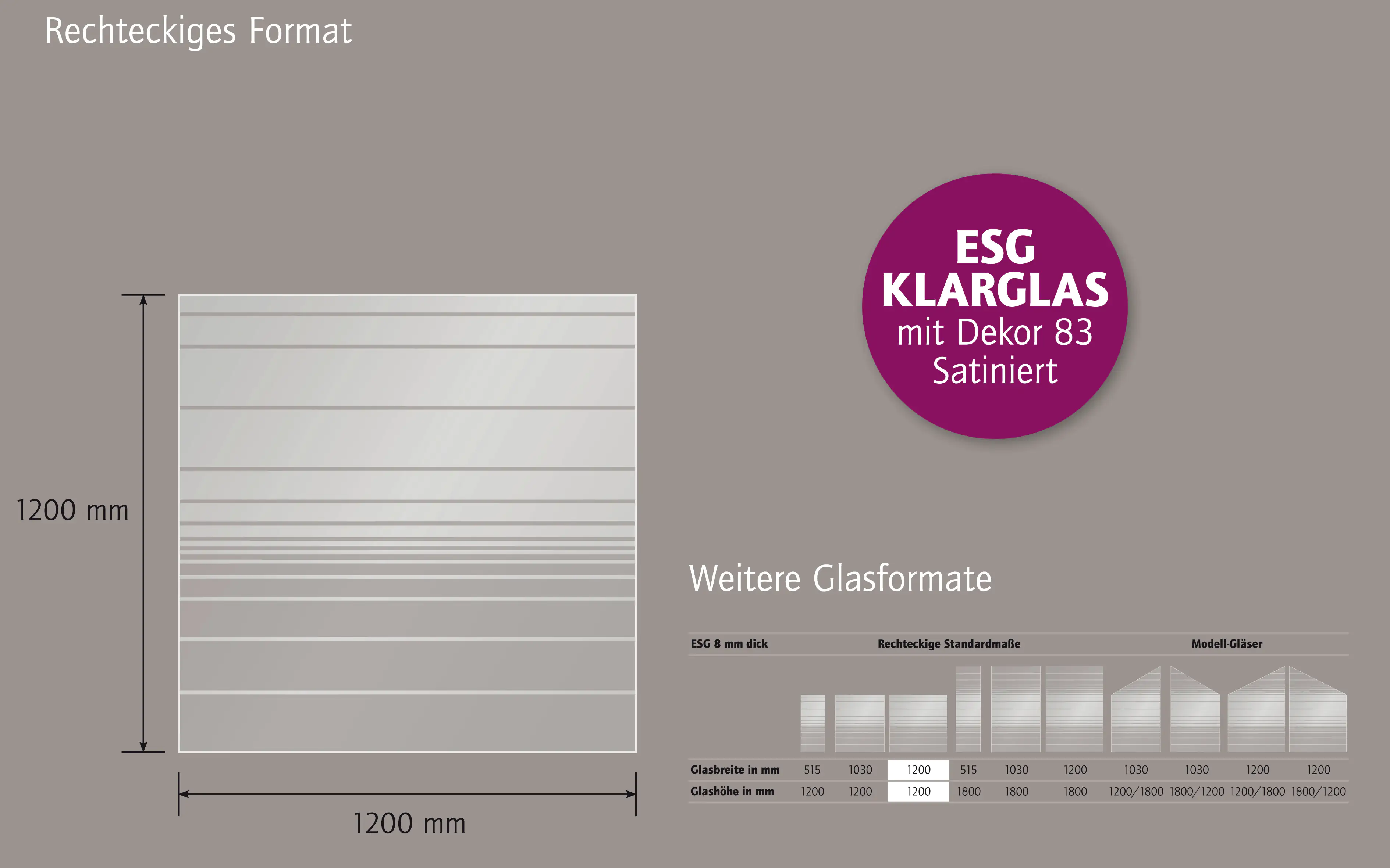 Ambiente Glaszaun Dekor 83 120 x 120 cm gehärtetes 8 mm Glas
