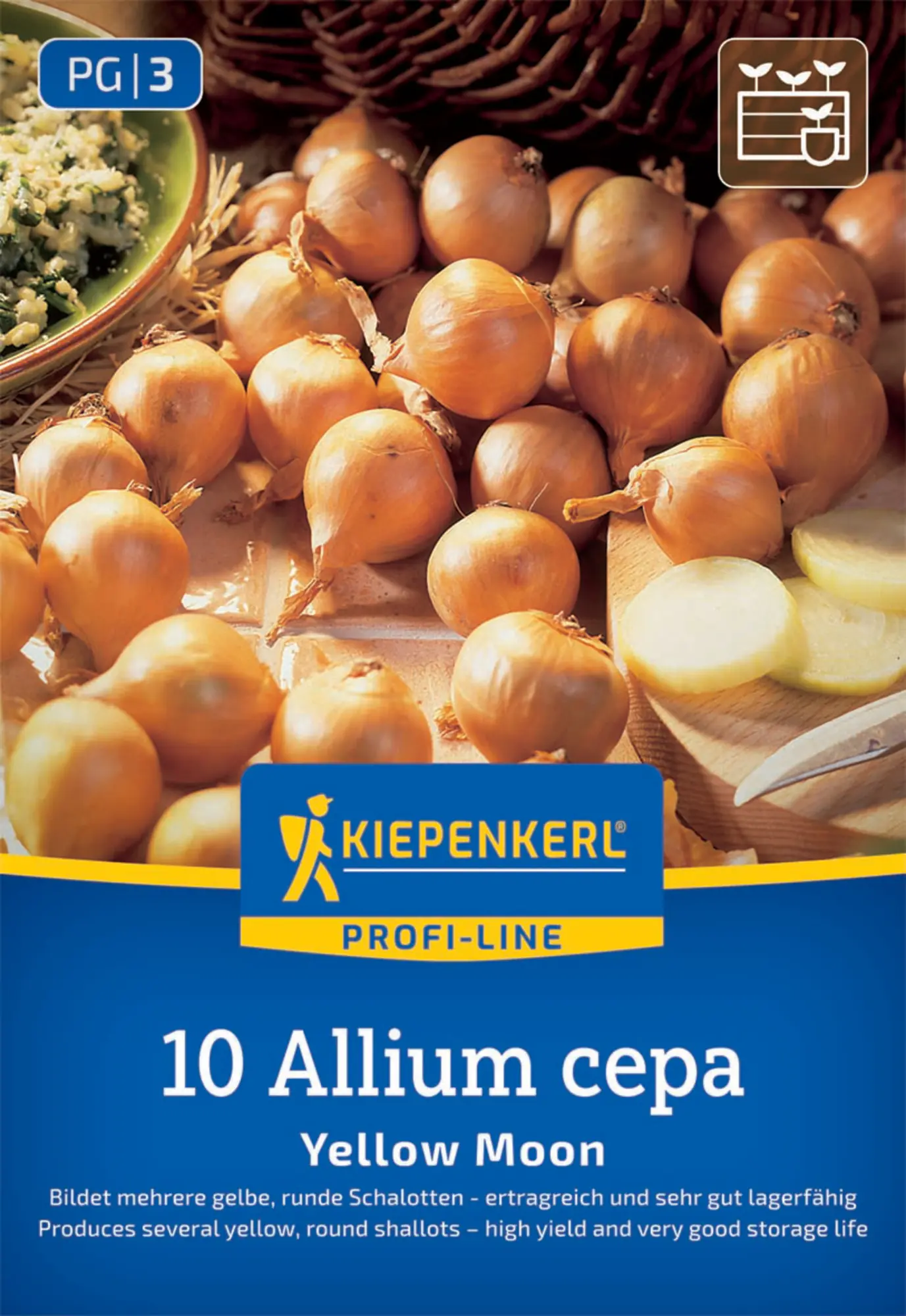Kiepenkerl Steckzwiebel Schalotte Yellow Moon Gr. 7/15, 10 Stück